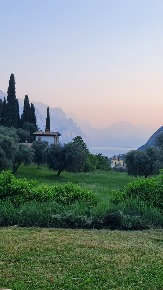 RETREAT VIBES ☀️
Was für eine schöne Zeit!!
Wir haben gelacht, getanzt, entspannt und einfach nur die Sonne und das Leben genossen. 🍹💦
#reliefandflow #relief #flow #yoga #yogareise #yogaretreat #auszeit #zeitfürsich #erholung #entspannung