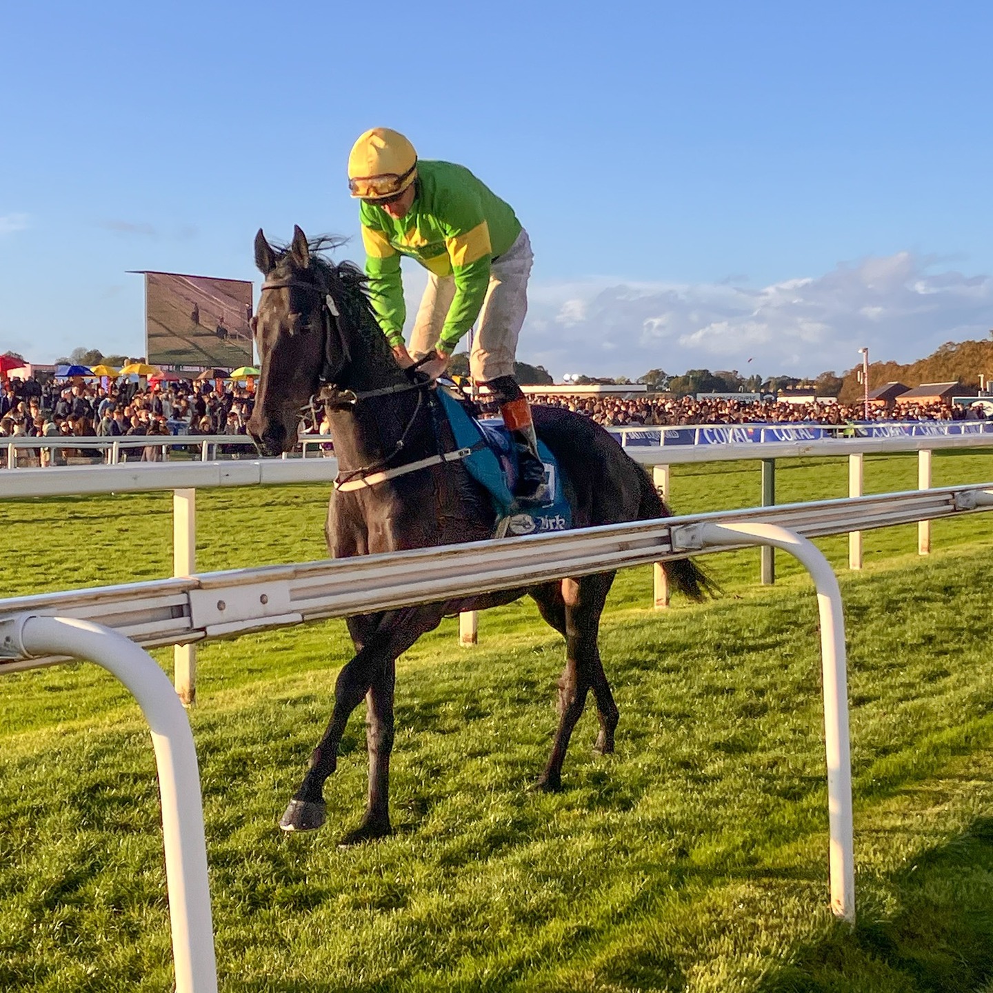 Came in 3rd at the last race in the October Finale 2024 @yorkraces