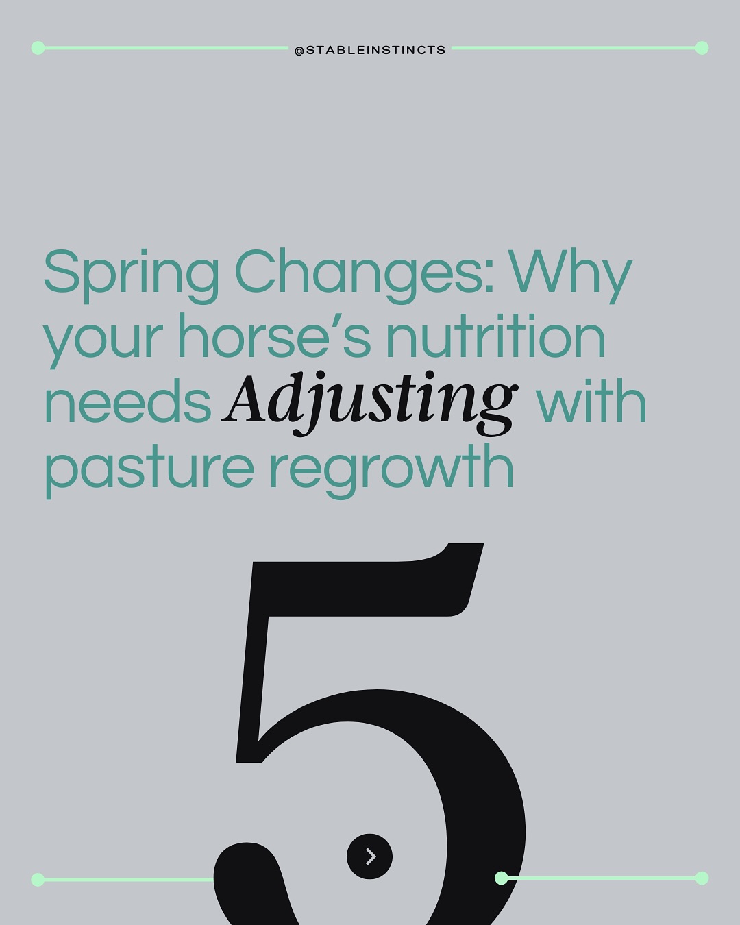 Spring is a season of changeโand your horseโs nutrition plan should reflect that!
Pastures may be lush, but they arenโt always balanced. Thatโs why we BUILD smarter this season!!
โข
DM to book a nutrition check-in or catch my full article in this monthโs issue of Saddle Up on what can be lurking in your pastures and how to protect your horse! Article linked in Bio @saddle_up_magazine
