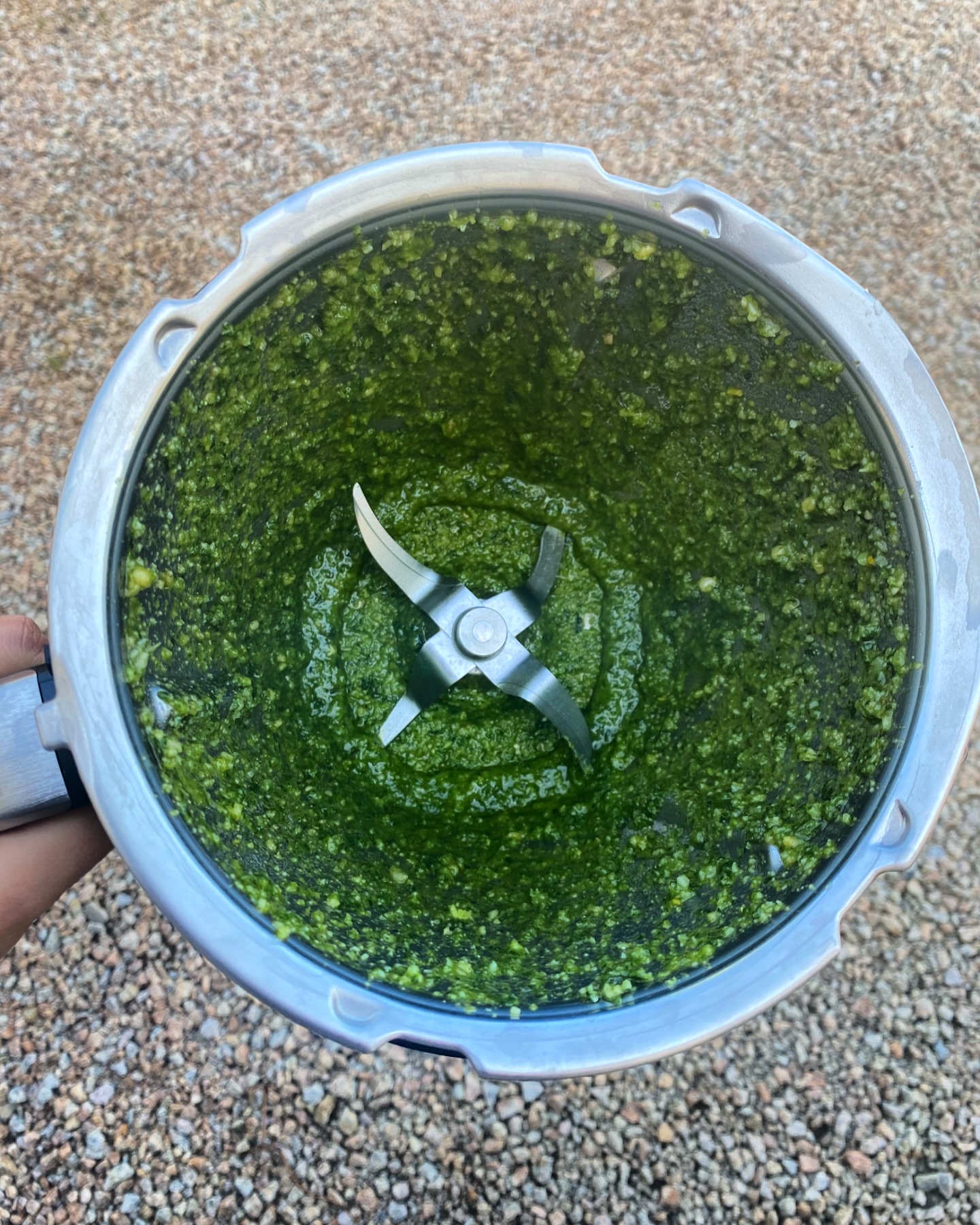 Pesto Sauce 🌱 I never get tired of making home made pesto sauce! It’s sooooo much better then any shop bought one and so easy to make! #pestosauce #thermomix #thermomixukandireland #bimby #bimbyjersey