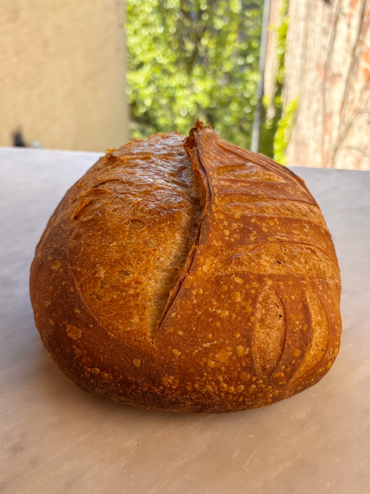 Loaves, friends, recent nibbles and drinks