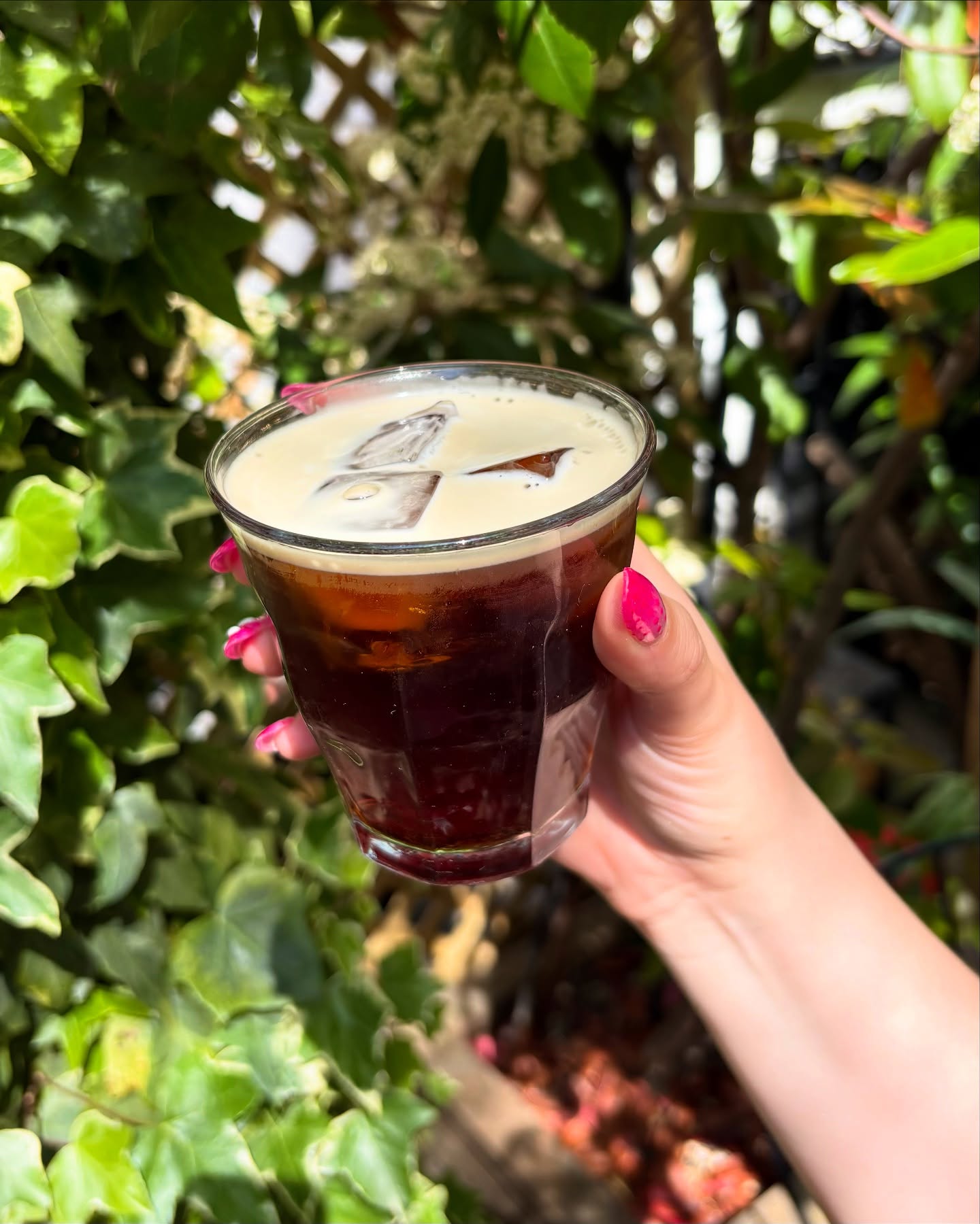 Sun’s out ✅ buns out ✅ nitro cold brew back ✅ it’s spring baby!