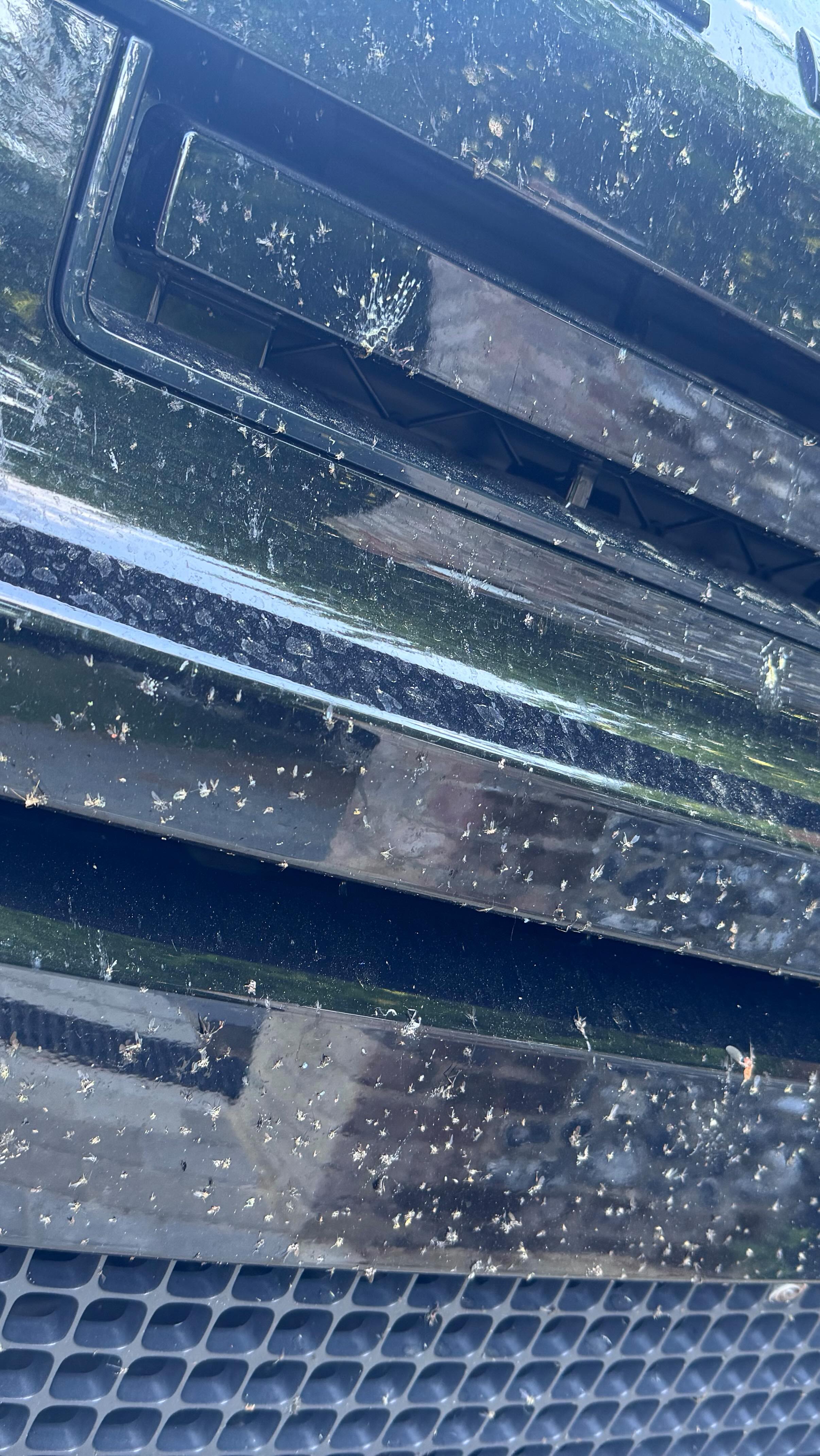 A mosaic of insect splatter clings to the rugged front grill of the Defender, evidence of miles chewed up on open road. The grill took the hits—now it’s time to clean it up with @infinity_wax insect strip. Defender detailing in action. #bugsplatter #deadbugs #landroverdefender #landrover #defender #detailing #watchhowitsdone #tmdetailscouk #infinitywax #insectstrip