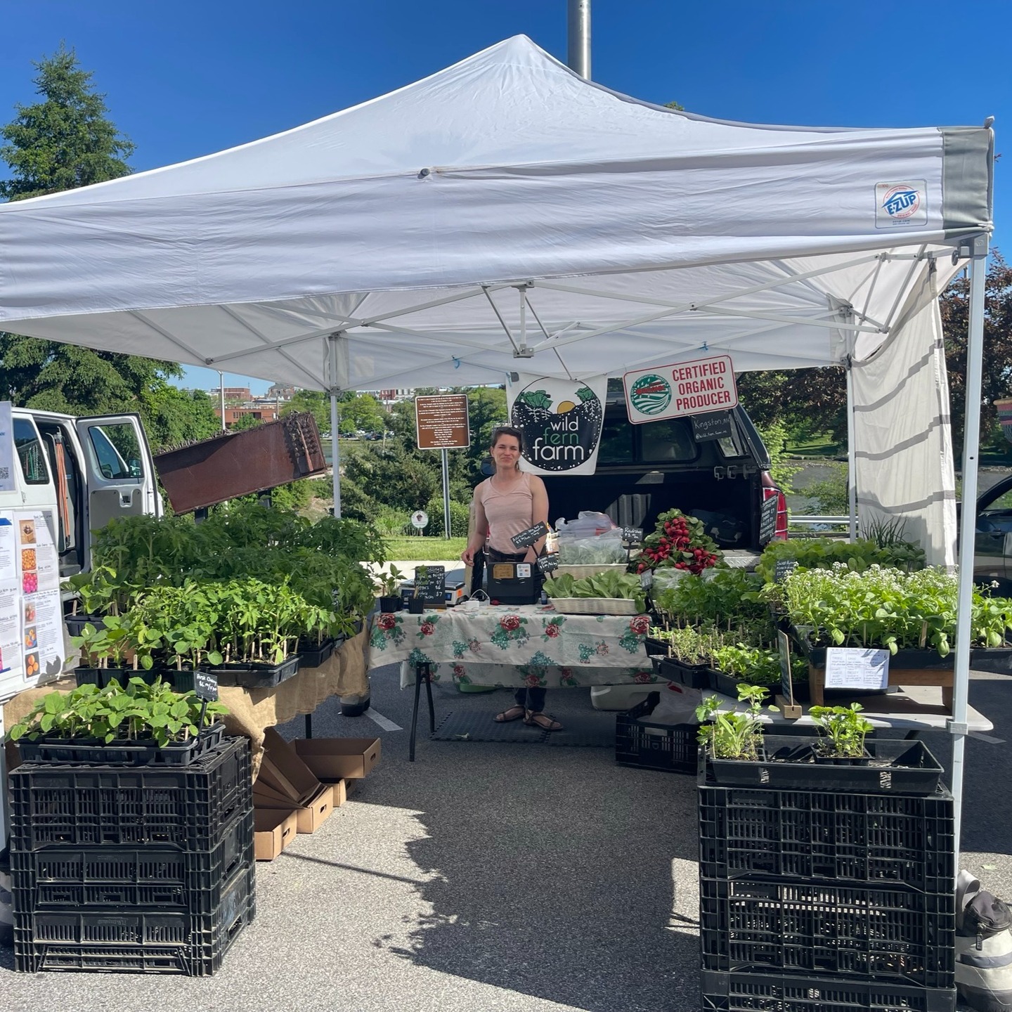 Portsmouth! I am so looking forward to another season hanging out with you on Saturday mornings. 🎉
I (Liz) will be there starting tomorrow, May 10th; can't wait to see you!
We will have certified organic seedlings for your garden and the usual spring offerings -arugula, radishes, herbs, pea shoots.
Portsmouth City Hall, Portsmouth, NH, 8am-12pm
Thank you to @seacoasteatlocal for doing all of the organizing!
#nhagriculture #nofanh #mofgacertifiedorganic