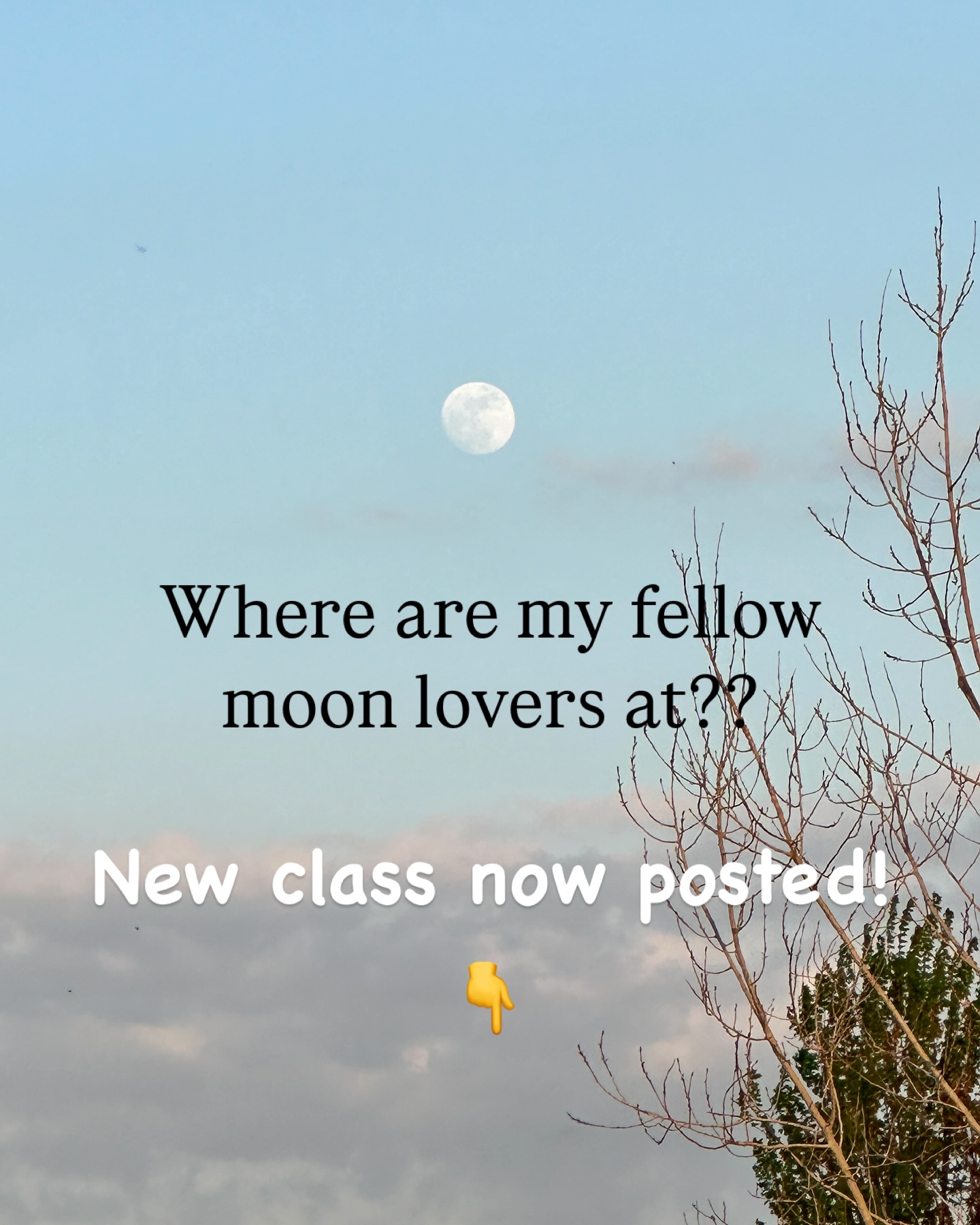 Who else gets excited over the moon?! 🌕 Let me know if that’s you! May’s full moon, the Flower Moon will be here Monday! Last night’s Ignite and Release class is harnessing that full moon energy to release what’s no longer serving us and ignite our inner flame to burn it all away with the courage to move forward. The recording is available online- included in memberships or available for purchase. You can catch the first 30 minutes for free! Link to video channel in bio. Next Ignite and Release class is on the schedule for June 8th. I hope to see you in person or online! #fullmoon #flowermoon #moonlovers #fullmoonritual #fullmoonyoga #SomaticHealing #EnergyRelease #AuthenticPower #AwakenYourFire #SacredMovement #FireCodex #EmbodiedTransformation #UnlockYourCourage #InnerAlchemy #StepIntoYourPower #VibrationalShift #SacredEmbodiment #EnergeticReset #dismantlingbarriers #accessibleyoga #freeyogaclass #traumainformedyoga #healingjourney #mentalhealthmatters #onlineyoga #personalgrowth #awakeningjourney #divinefeminine #meditation #kundaliniyoga