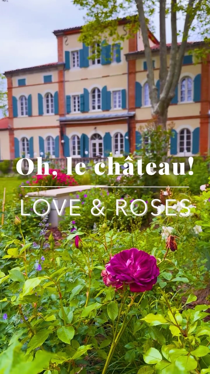 For all the mothers out there and the ones who love them, the first roses from the garden. Happy Mother’s Day! ❤️
#rosegardens #roses #motherday #moederliefde #deallerliefstevandehelewereld #bedandbreakfastfrance #rosesandreeve #gardenlife #ohlechateau #chambresdhotesdecharme #gardenloversofinstagram