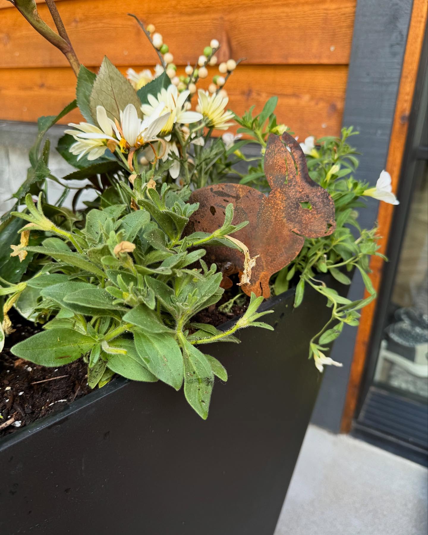 Install vs + 2 weeks. And it will just get better and better 🌸#prettyporch