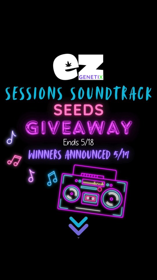 🎁 EZ GENETIX GIVEAWAY 🎁
Our first ever seed drop giveaway is LIVE — and it’s for the growers who dance between transplants and roll up before harvest. 🌱💨
HOW TO ENTER (3 steps):
1️⃣ Go to the website, fill out the giveaway form, roll up, and vibe to the Sessions Soundtrack 🎶
2️⃣ Come BACK to THIS POST and comment your favorite song from the soundtrack 👇 (comments on other posts won’t count)
3️⃣ Follow @ezgenetix to stay locked in ✅
🗓️ Entries close: 5/18
🏆 Winners announced: 5/19
🔥 Prizes:
Jelly × Appleface (R)
Nanaz × Appleface (R)
Glazed Apricot × Appleface
EZ Burger × Sleeping Beauty
Deep Peach × King Hawk
Blueberry Cupcake × Dosido
Strawberry Cotton Candy × Dosi Don’t (R)
Apple Candy × Dosido
Deep Peach × Nanaz
Strawberry CC × King Hawk
EZ Burger × Appleface (R)
Jelly × Appleface
Deep Peach × Dosi Don’t
Deep Peach × Jelly × Lemon Cherry
Apple Candy × Jelly
Jelly × I95 Strawberry Pie (R)
We wanted to give you something to smoke and grow, something to enjoy while watering, topping, harvesting, and transplanting.
Because if you’re not vibing in the garden… what are you even doing?
#EZGenetix #SeedDrop #SessionsSoundtrack #GrowersLove #SmokeGrowRepeat #DanceWhileYouGrow #EZGiveaway