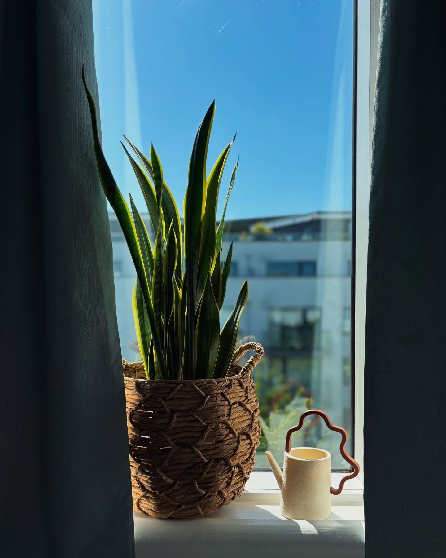 Tiny, pretty, and green (like, eco green). This mini watering can is 3D printed with recycled PLA — made from plants, not plastic. Your plants will love it. The planet will too.
Who knew being eco could look this cute?
🌿♻️✨