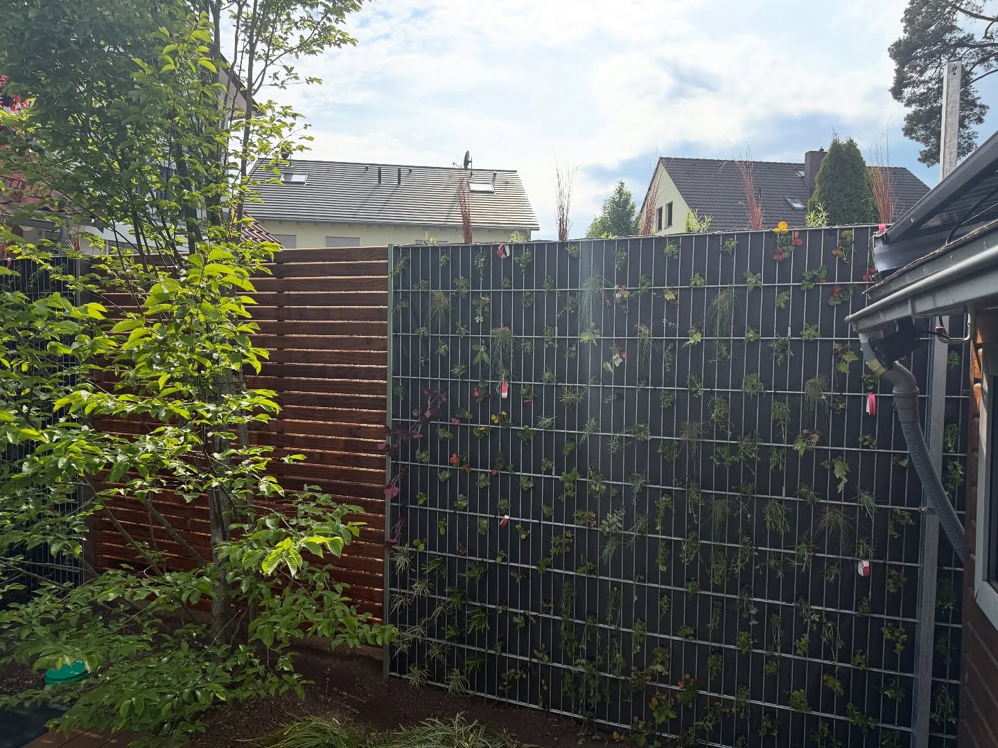 Heute haben wir die Pflanzen-Gabionen bepflanzt.
Morgen wird noch das Beet vor den Gabionen bepflanzt und dann können die Stauden wachsen.
Die Kombination mit dem Sichtschutz aus Kebony Clear gefällt den Kunden super.
#sichtschutzwände #pflanzengabione #kebony #kebonyclear #stauden #bienenfreundlich