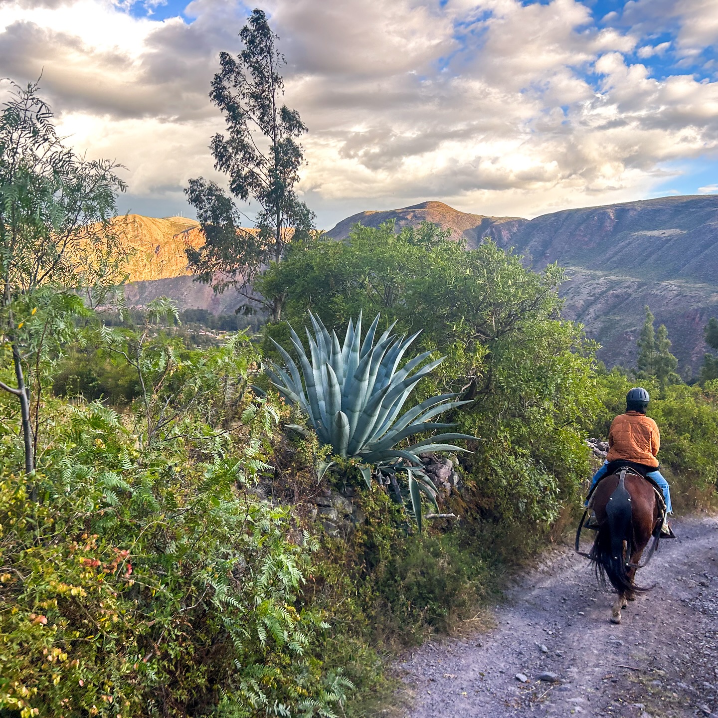 No one tell my mom I went ATV-ing in the sacred valley #mothersday