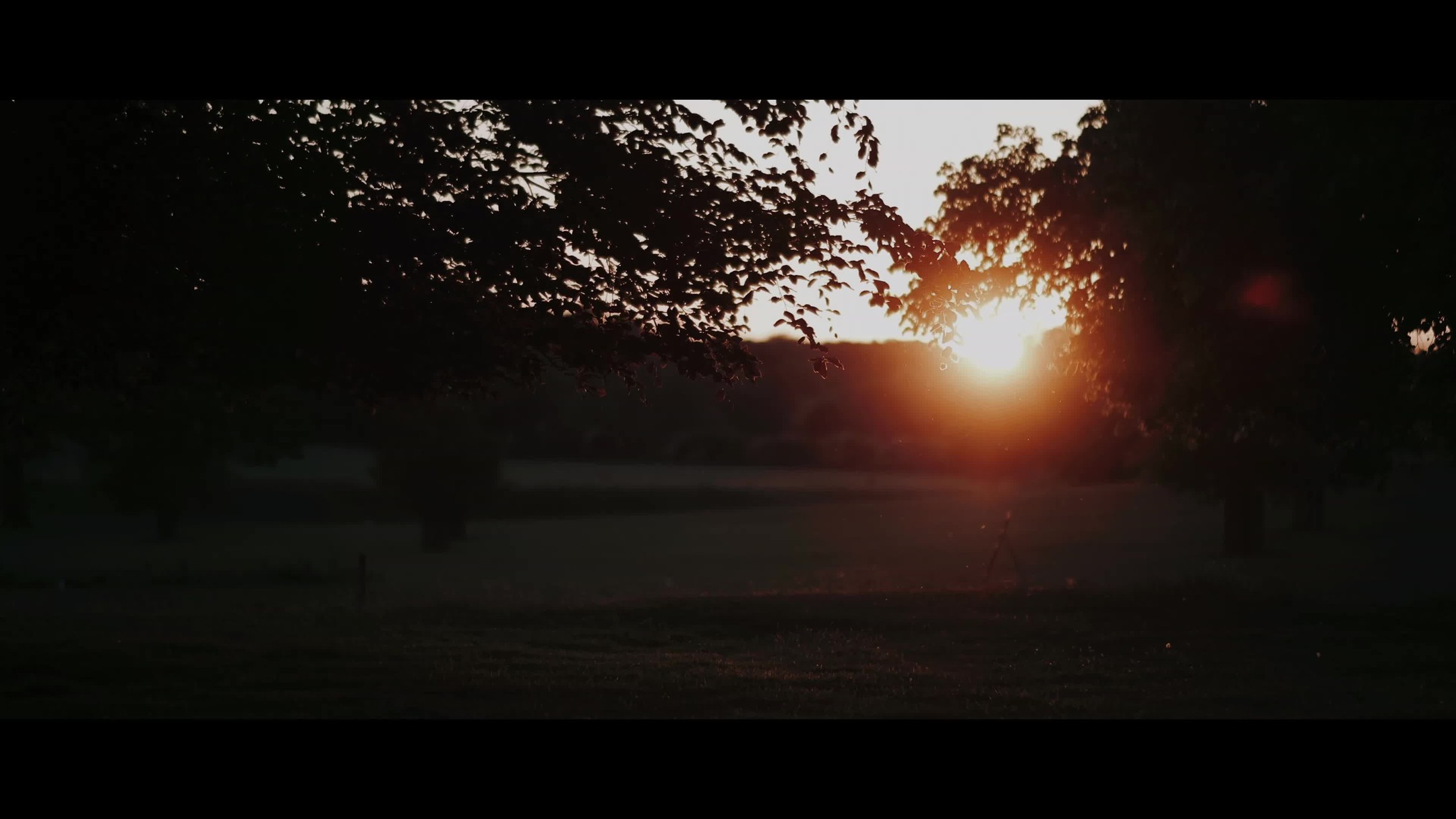 Just a glimpse from the magic at Shuttleworth House yesterday.
Golden hour didn’t hold back — and neither did these two.
That sunset? Unreal.
More to come…
#ShuttleworthHouseWedding #SunsetWeddingPhotos #UKWeddingPhotographer #CinematicWeddings #WeddingTeaser #GoldenHourMagic #StorytellingPhotography #DocumentaryWeddingPhotographer #EssexWeddingPhotographer #EssexWeddingVideo #EssexPhotographer #EssexVideographer #RusticWeddingVibes #WeddingInspo #NaturalWeddings #BohoWeddingStyle #UnposedWeddingPhotography