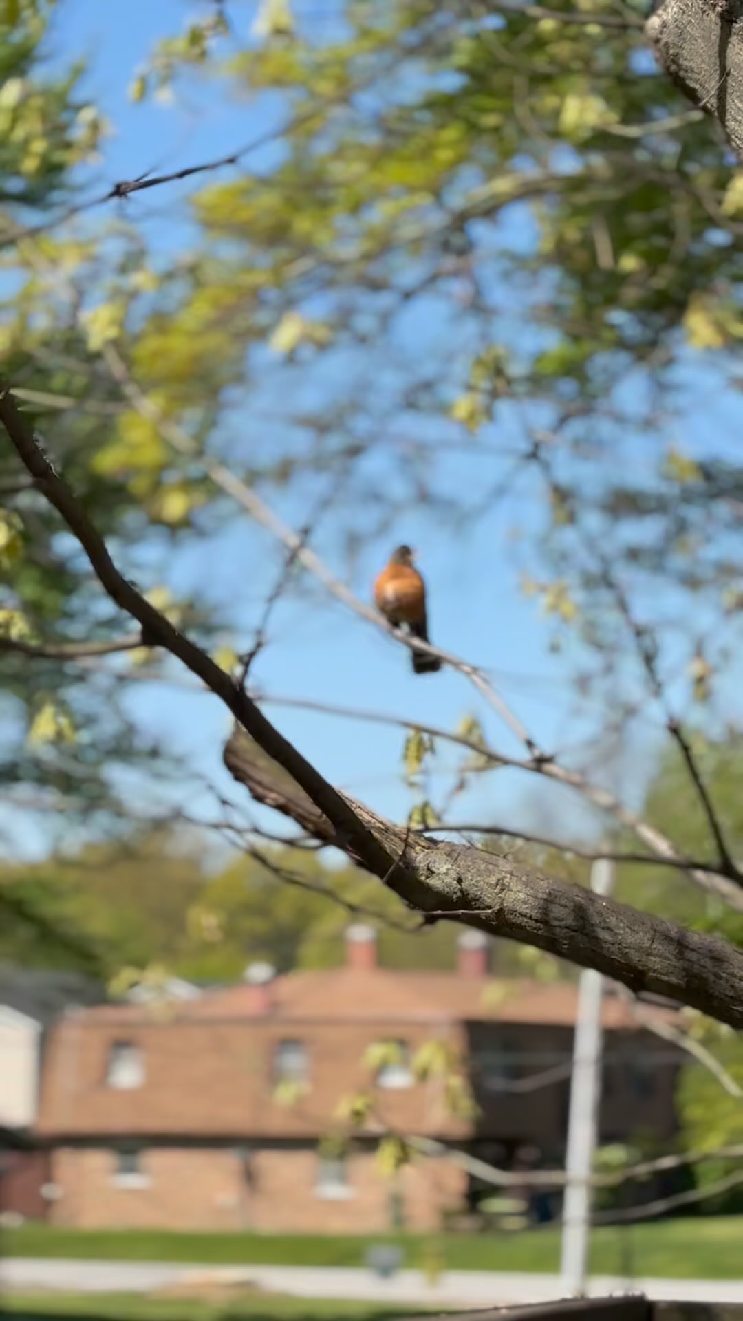 We are in a whirlwind of busy and it seems I just can’t keep up, but I’m taking a some time this morning to remember “the who and the why” and to just be grateful…even in the weeds.