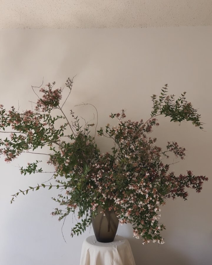 I love designing with a single element. I get to really understand the product and immerse myself. When designing, I focusing on shape, dimension, and movement and let the medium shine. I believe simple designs are more approachable and soft to the eye. I definitely thought about adding more elements but restrained because I loved it the way she is.