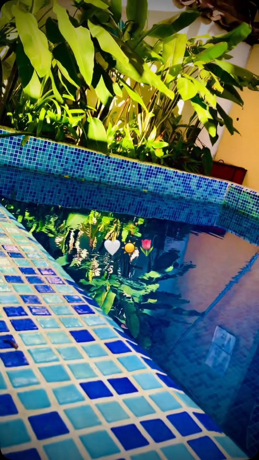 Nothing better than the sound of nature!🦁🇳🇮VISÍTANOS WE ARE WAITING FOR YOU !!!! 📍calle la Marcoleta , from the playground 2 streets and a half down . Request our rates directly to our WhatsApp : 📲 +505 8332 5746🏠We are located, Iglesia San Juan de Dios 2 blocks and a half down.