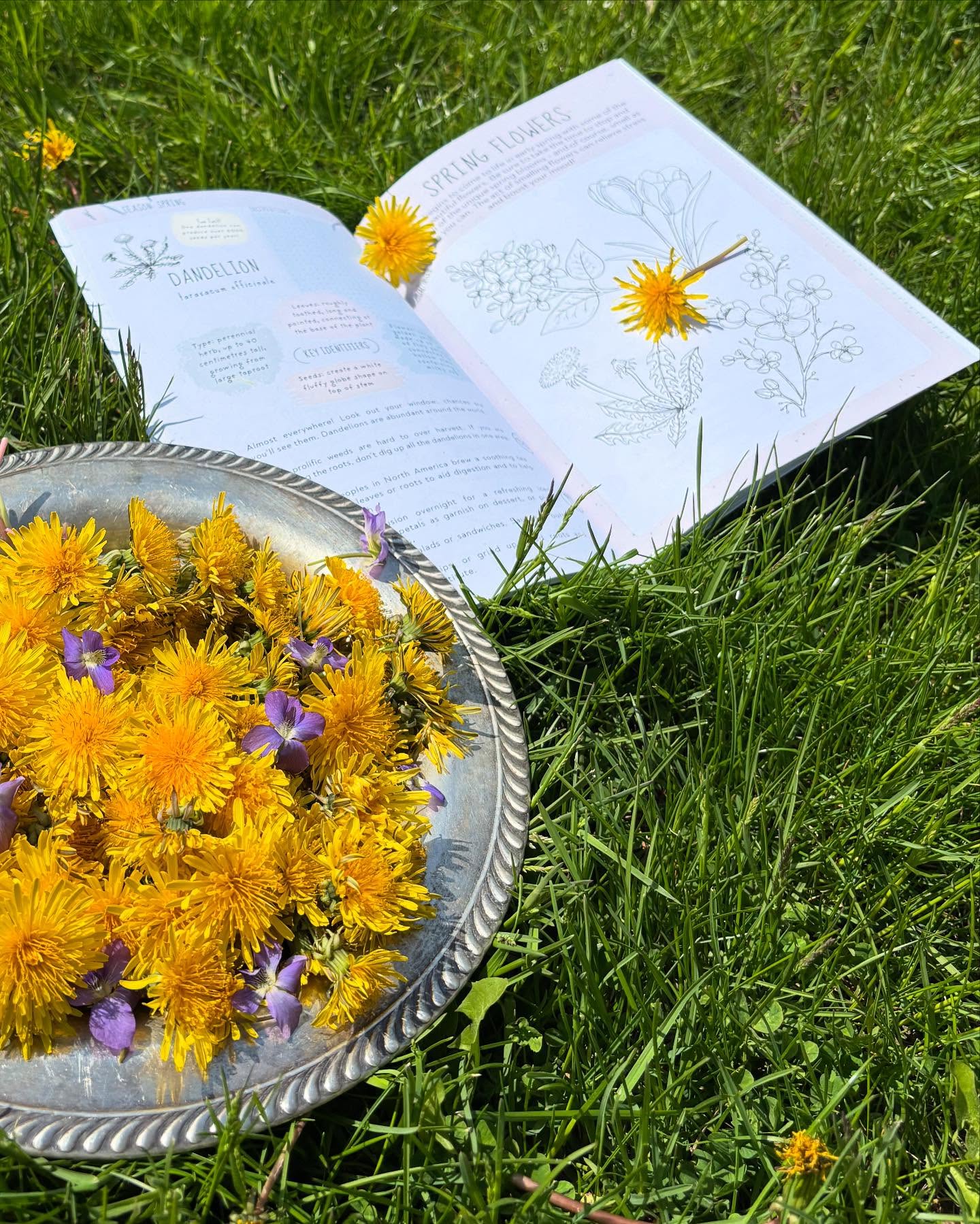 ✨ Calling all little explorers! ✨
Join me this Thursday, May 15 from 4–5:30pm at @thecompanywekeep_to for a cosy after-school adventure filled with wild stories, nature crafts, cookies, juice (for the kiddos), coffee (for you), and a copy of The Little Explorer’s Foraging Field Guide to take home 🌿💫
We’ll be making beautiful foraged crafts, talking about the magic of the forest, and connecting with other families who love a little wonder and a lot of wild. Perfect for ages 4–10 (and their grown-ups too).
📍The Company We Keep – 634 Saint Clair Avenue West Toronto, ON M6C 1A9
🎟️ Grab your tickets here:
https://www.eventbrite.ca/e/wild-about-nature-a-nature-craft-hour-for-little-explorers-tickets-1330551167359?aff=oddtdtcreator&fbclid=PAZXh0bgNhZW0CMTEAAadO7qWScOmpTZWzv3wzyXZNqYTyA9Bjz-ag0wpKpcZ3r3LwSzsxJjgfHeMWpg_aem_TNWKqUBEIYM2DHWJckbiVQ
Space is limited!
#ForagingWithKids #TheHonourableHarvest #TheCompanyWeKeep #TorontoMoms #WildCrafts #AfterschoolMagic