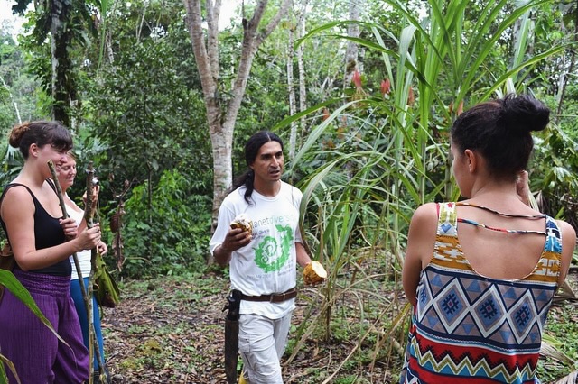 Im Jahr 2012 tauschte ich meinen Alltag in D gegen das Abenteuer – und landete für ein paar Monate in Ecuador. Eine der eindrucksvollsten Etappen dieser Zeit führte mich in den Oriente, tief hinein ins ecuadorianische Amazonasgebiet.
Ein Ort, an dem die Luft schwer von Feuchtigkeit und Leben ist, an dem der Dschungel Geschichten flüstert, wenn man bereit ist, zuzuhören.
Der Dschungel rund um Tena war für mich wie eine andere Welt: feucht, grün, lebendig. Wir wanderten zwischen riesigen Blättern, lernten Pflanzen kennen, die heilen, färben oder nähren. Der Boden weich unter den Füßen, das Summen und Rascheln nie still.
Wir schliefen im Hostal Pakay, einem Ort, der wie gemacht ist, um die Seele in der Natur zu parken. Tagsüber führte uns unser Guide und Amigo durch den Wald, öffnete Kakaofrüchte, erklärte die Kraft der Pflanzen, lachte mit uns, als wir durch Matsch und Flüsse stapften.
Ein Highlight? Ein Bad in einem der türkisgrünen Flüsse – mitten im Dschungel.
Der Amazonas ist wild und zart zugleich. Diese Tour war mehr als nur ein Ausflug – sie war eine Erinnerung daran, wie viel Magie in der Natur steckt, wenn man sich darauf einlässt.
#Tena #Ecuador #Dschungelabenteuer #Amazonas #HostalPakay #Kakao #Naturverbindung #lachocolatera #storytelling