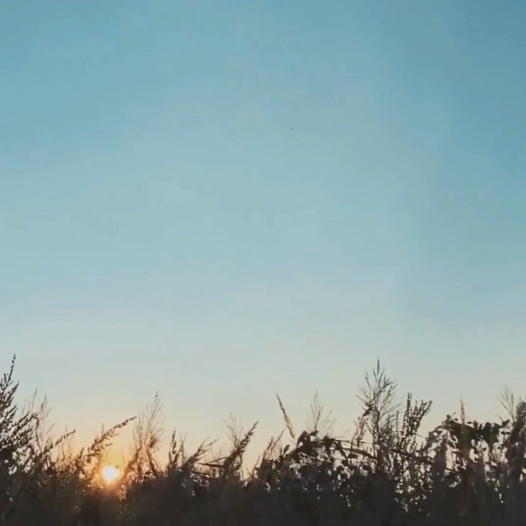 “The primary cause of unhappiness is never the situation but your thoughts about it.” – Eckhart Tolle
It is a powerful reminder, and one I return to often in my coaching work.
So much of our stress, doubt or stuckness is not about what is happening, but about the story we are telling ourselves about it.
❓ I should have handled that better
❓ They do not value me
❓ I will never be able to change
These thoughts feel true, but they are often old patterns shaped by past experience, fear or internal pressure.
In relational coaching, we create space to slow down, notice the thought, and explore what is underneath. Together, we look at how your inner narrative is shaping your experience, and whether it is still serving you.
Coaching is not about fixing you.
It is about helping you see yourself more clearly, so you can respond with choice, not reactivity. If something in your life feels heavy right now, ask yourself: Is it the situation, or what I am telling myself about it?
And if you are curious about how coaching could help untangle the two, I would love to talk.
#RelationalCoaching #EckhartTolle #SelfAwareness #CoachingTools #MindsetShift #LeadershipCoaching #ThoughtWork #InnerNarrative #PhoenixCoaching #helenabaileycoaching #executivecoaching #midlifecoach #ashridgebusinessschool