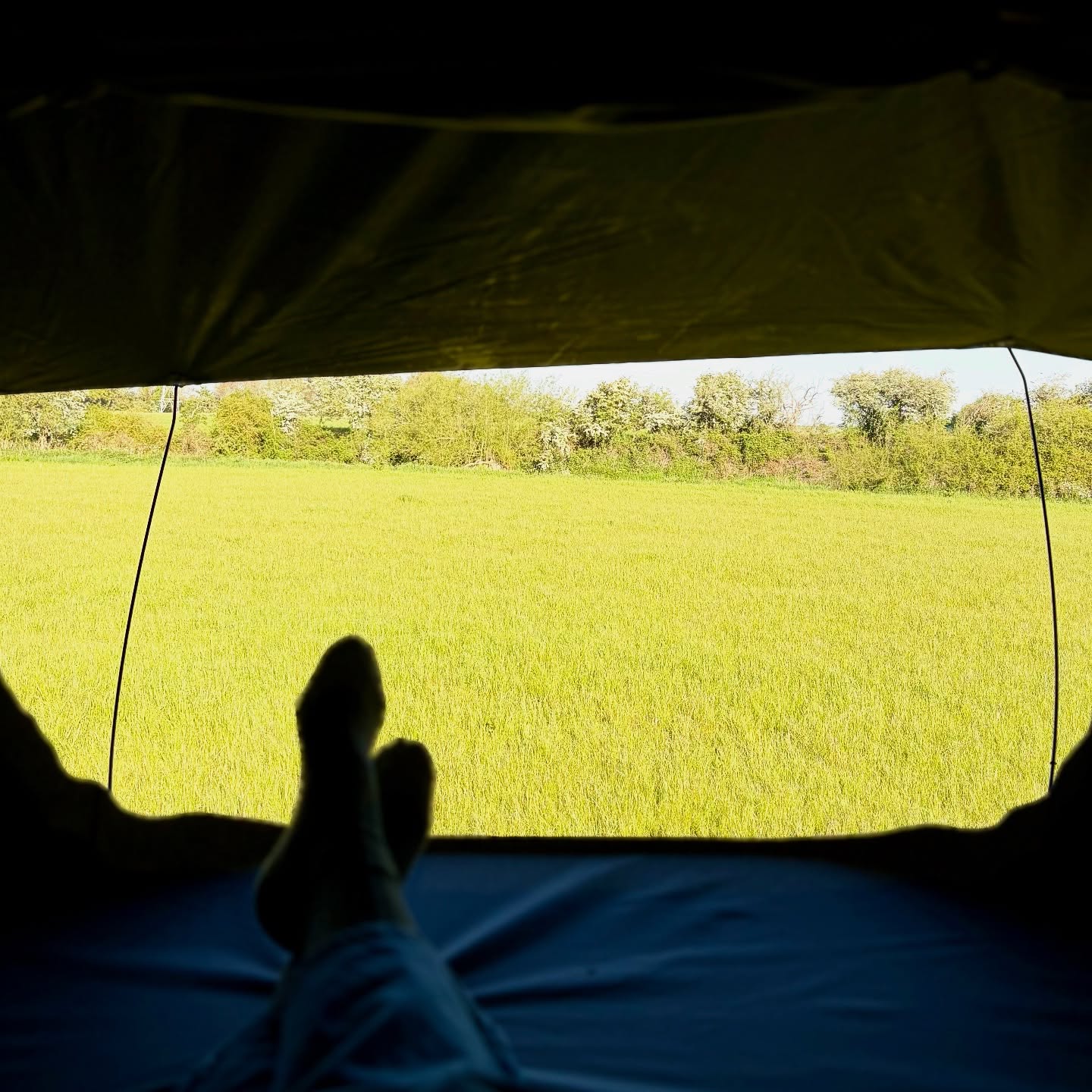 Unplugged, unwinding, unreal. Go on, name a better feeling 🏕️
We’re open for the Spring Bank Holiday week from 24th May so why not escape to the coast and pick your perfect pitch at our peaceful site in Mundesley, Norfolk? 🏖️