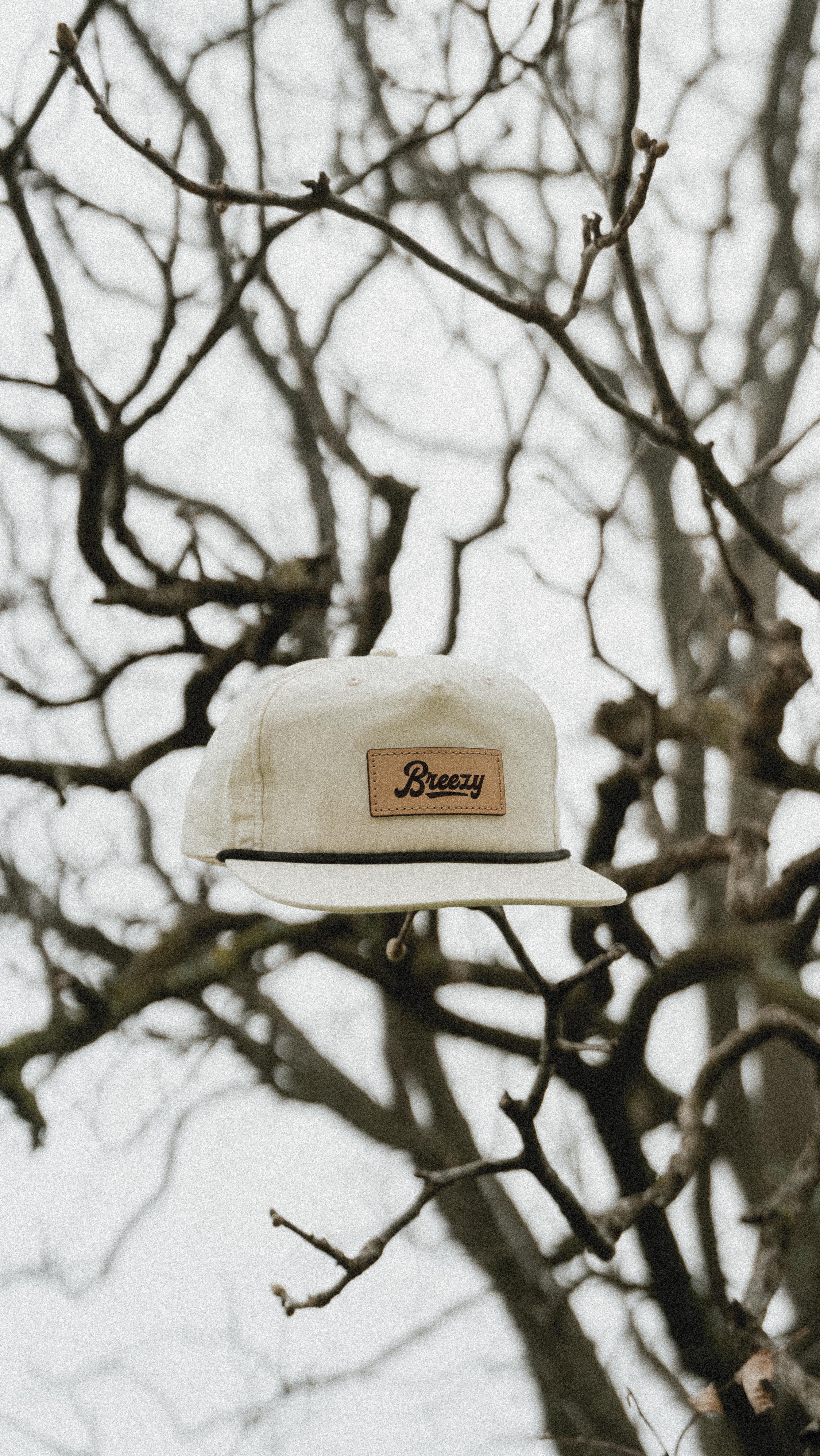 Turtles = not our problem. Spiders = very much our problem.
#littlerock#littlerockarkansas#arkansas#breezypestcontrol#pestcontrol#turtles