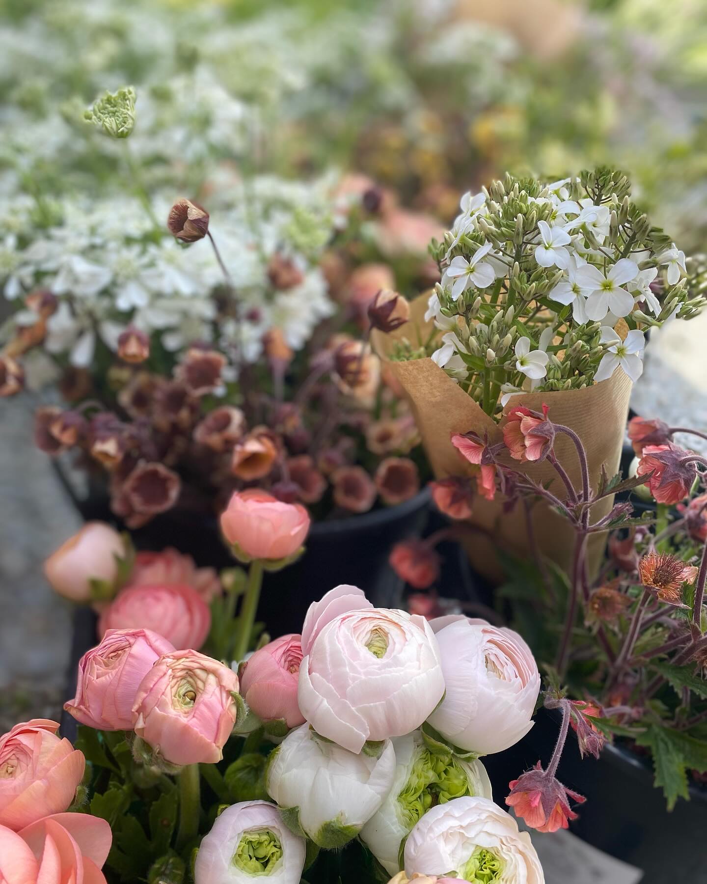 Another couple of sunny ☀️ weeks of flowers! These were all pre-orders for local florists - thank you all for your support 🥰
Flowers here also from @rivergardenflowers and @theflowertreewholesale love the collaboration 💚