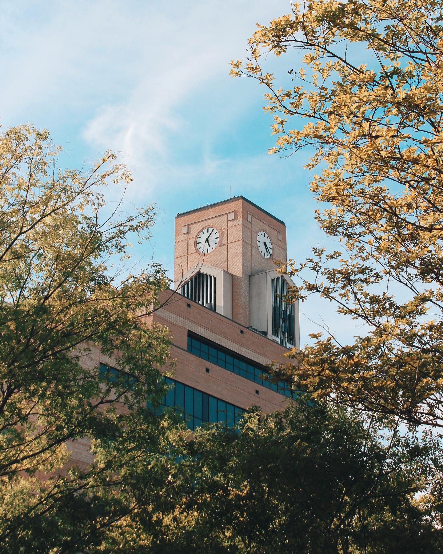 Happy Summer Red Wolves!🐺☀️ @arkansasstate
#photography #photographer #arkansasstate #arkansas #summer #arkansasphotographer #zzmixedmedia #trending #filter #edit #photo