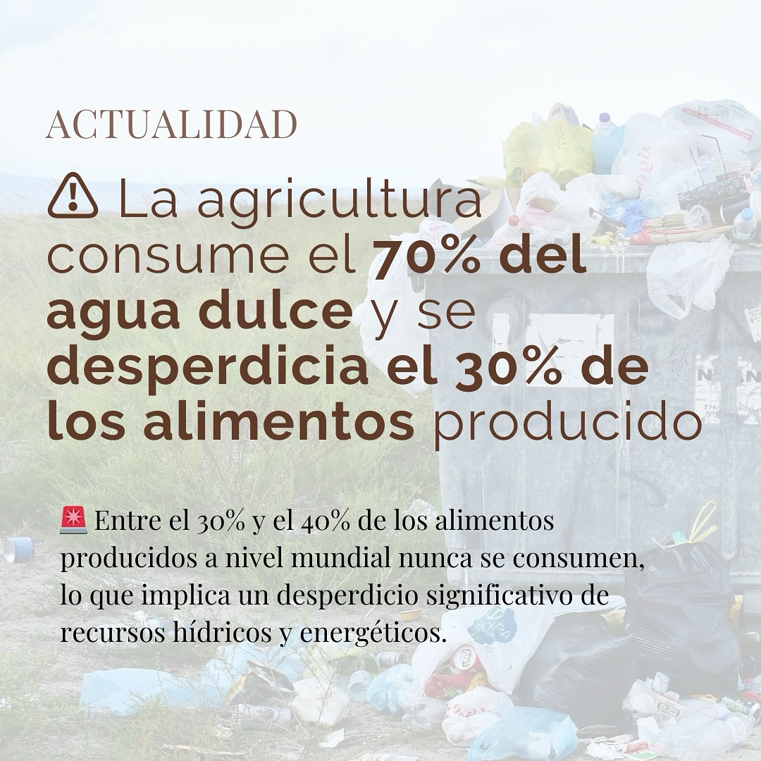 🌾 🌱 Agricultura y Agua: Un Balance Necesario para el Futuro 🌾
La agricultura consume el 70% del agua dulce del mundo, pero sorprendentemente, cerca del 30% de los alimentos producidos se desperdician. Esto significa no solo perder alimentos, sino también recursos naturales esenciales como agua, energía y tierra.
💡 La solución está en nuestras manos: apoyar la producción sostenible, reducir el desperdicio de alimentos y fomentar prácticas agrícolas responsables. Porque cada gota cuenta.
#ODS12 #ProducciónSostenible #ConsumoResponsable #AguaSostenible #WayToSustainableImpact 🚜