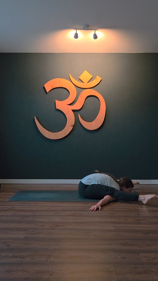 Cultiver l'Auto-Discipline yeah baby 💪🏼
Dans ma quête de croissance personnelle, l'auto-discipline est un fondement essentiel. Elle n'est pas un trait de mon caractère (au contraire), mais une compétence que j'essaie de cultiver chaque jour. L'auto-discipline est ce qui me pousse à me lever tôt lorsque le sommeil m'appelle encore, à choisir une alimentation saine lorsque d'autres tentations se présentent, à me coucher tôt au lieu de choisir des distractions...♥️
Je constate que la régularité est le moteur de ce cheminement. Quotidiennement je répète des petites actions qui me font du bien : méditer, lire, m'instruire, tenir un journal de gratitude, apprendre des langues, jouer de la guitare, promener mon chien, pratiquer le yoga,... Chaque pas que je fais, chaque minute que je consacre à mon propre développement personnel compte et me fait me sentir plus épanouie 🙏🏻
La mobilité aussi joue un rôle majeur. Être capable de s'adapter et de bouger avec aisance est très important. Pas seulement pour avoir la capacité physique de me déplacer ou de faire de jolies postures de yoga qui est certe très bien mais également avoir la flexibilité mentale de pivoter lorsque les circonstances changent ou des imprévus apparaissent. Cultiver la mobilité, c'est accepter que le chemin n'est pas toujours linéaire, mais qu’il est aussi rempli d'opportunités d'apprendre et d’évoluer.🤸🏼♀️
En intégrant ces principes d’auto-discipline, de régularité et de mobilité dans ma vie, je moffre la chance de transformer mes aspirations en réalité. 🌟🙏🏻🥰
⭐️ N'oubliez pas que la force réside dans la constance des efforts et la capacité à s'adapter⭐️
Prenons chaque jour comme une nouvelle occasion de réaffirmer notre engagement envers nous-mêmes, de nourrir nos ambitions même les plus folles et de rester en mouvement, tant sur le plan physique que spirituel. C'est ainsi que nous construirons une vie pleine de sens et d’accomplissements que je vous souhaite pleinement 🙏🏻♥️🌟
Namasté
Ps : j'ai lu le livre miracle morning qui m'a vraiment pousser à réaliser cette routine quotidienne bien-être.
#yoga #yogateacher #miraclemorning #asana #bepresent #breathe