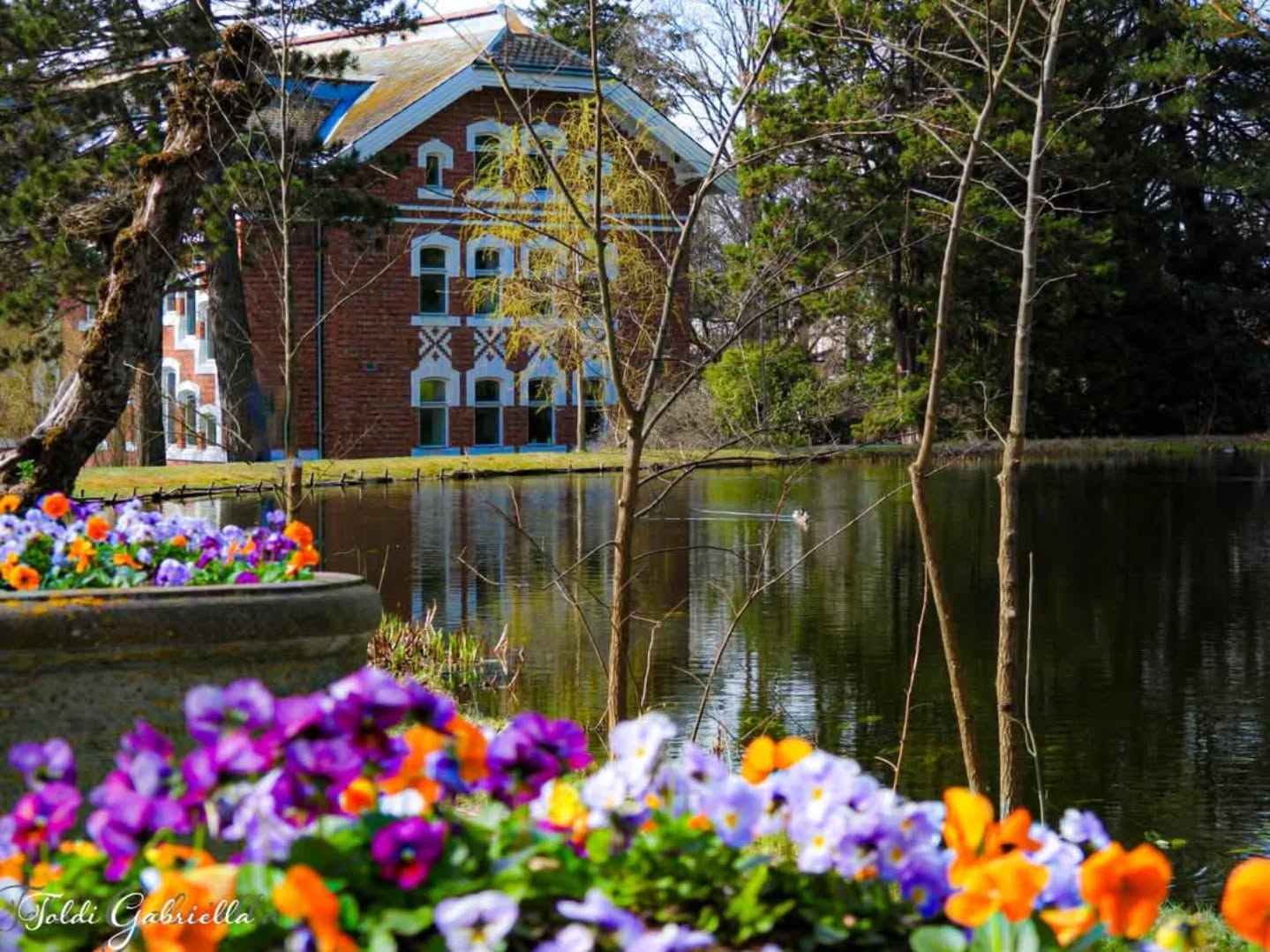 📷 Gabriella Toldi @toldi.gabriella