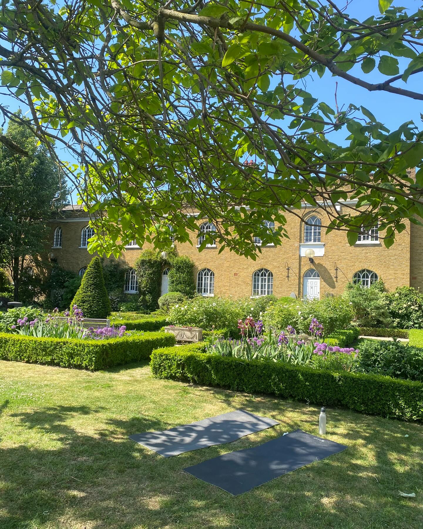 Beauty in everything when the sun is shining.