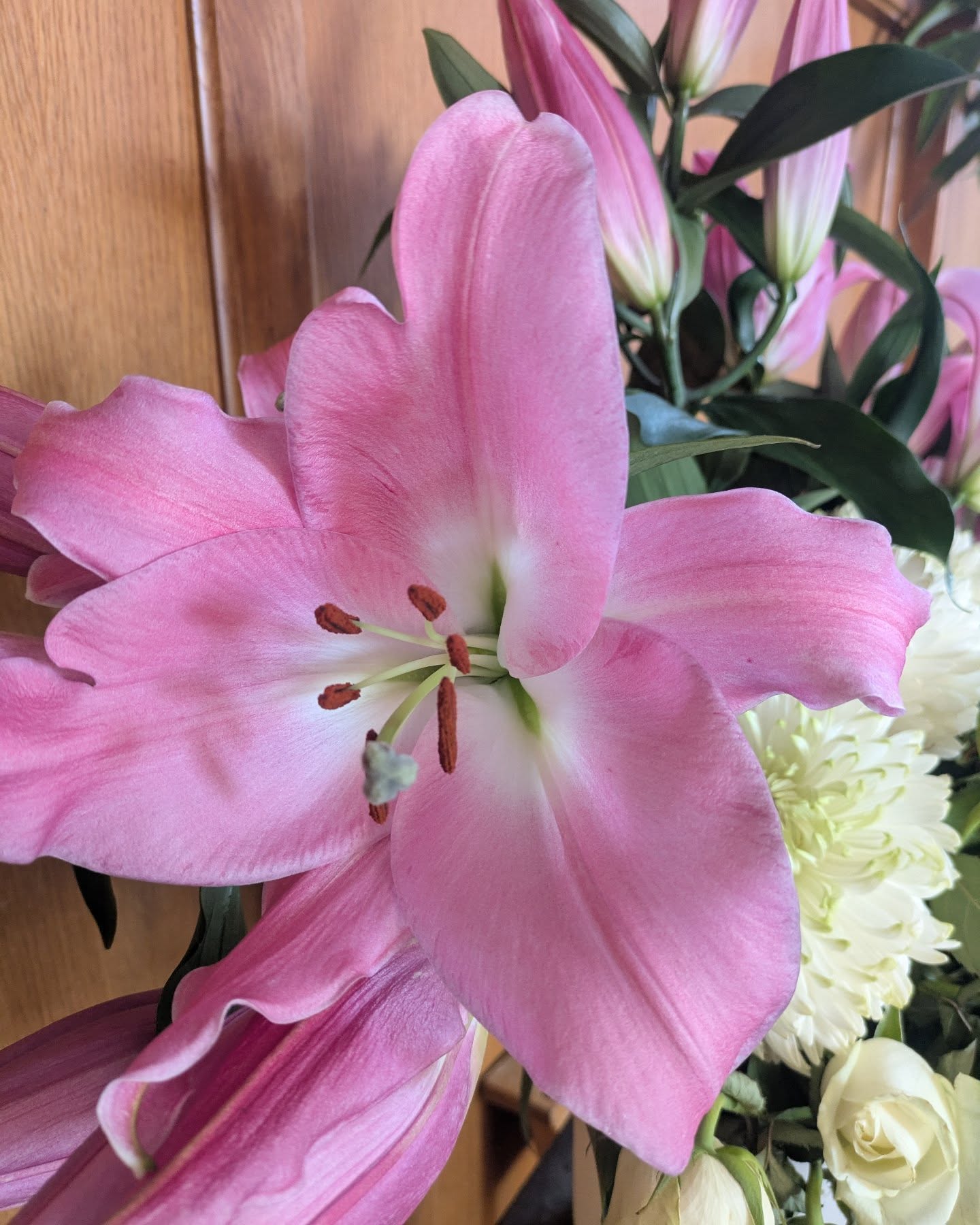 Beautiful flowers at St. Andrews Reform Church. Grateful to have such a beautiful space to teach yoga 🩷🌸
#lilyflower #yogachurch