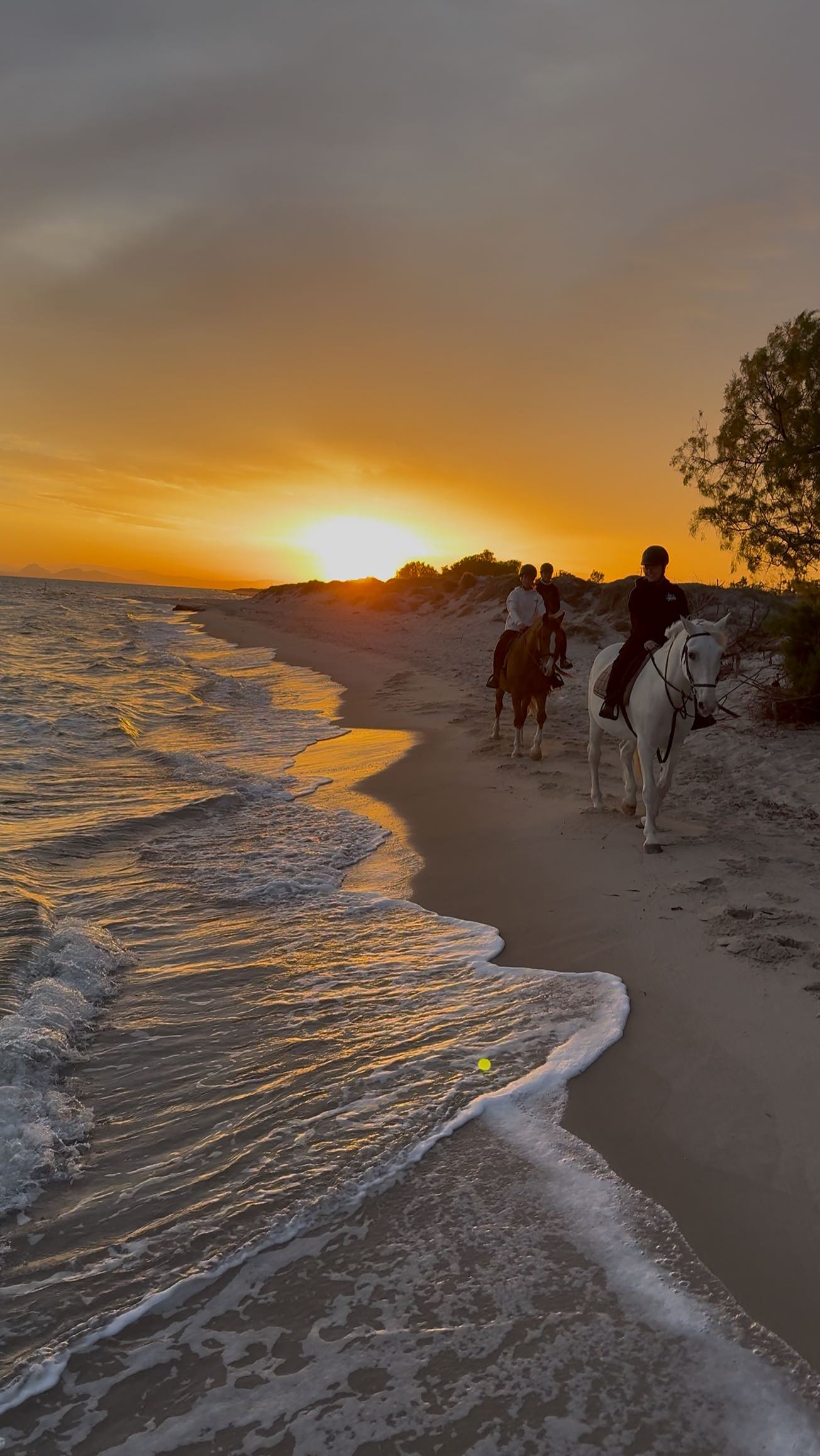 HORSE RIDING ON KOS ISLAND
SALT LAKE STABLES Exclusive Horse Riding for all ages and riding levels from first time rider's to advanced. Swimming with horses, sunrise rides, sunset rides. Book early for summer 2025!
#horsesofinstagram #greece #holiday #greekislands #kosisland #bucketlist #greekholidays #tigakikos #horseriding #beachhorses #kosactivities #sunrise #horseridingholidays
