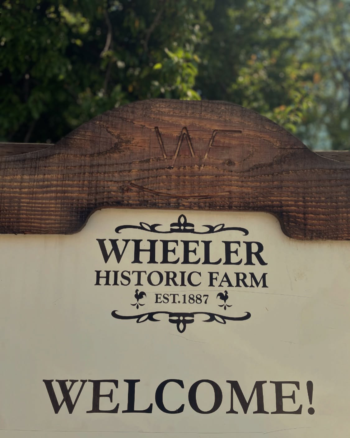 Wheeler Farm market kicks off this Sunday, and we’ll be there rain or shine.
We’re bringing an expanded lineup of sausages, pasture-raised meats, and poultry — perfect for grilling season.
Come early, say hi, and stock up for the week.
#shoplocal #italiansausage #utah sausage