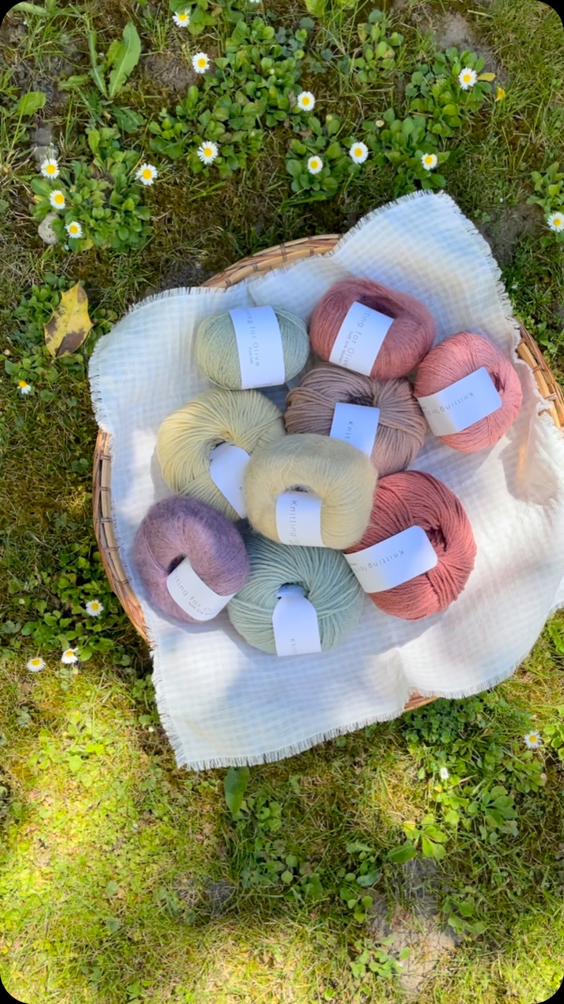 Ein Korb voller Sommer🌸
Einige Farben wurden wieder aufgefüllt, andere sind neu dazugekommen – wie zum Beispiel die Farbe Rhabarbersaft in Pure Silk.
Das hebt das Stricken im Garten oder auf dem Balkon direkt auf das nächste Level!
#fibreatelier #knittingforoliveheavymerino #knittingforolivesoftsilkmohair #knittingforolivepuresilk