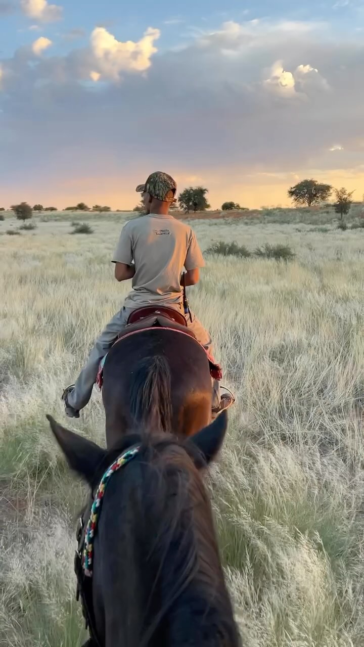 NAMIBIA BY HORSE 🐴
The Kalahari is a pretty place, but it gets even prettier from horseback (and giraffe buddies) ☺️
📍Bagatelle Kalahari Ranch, Namibia
#kalahari #horse #safari #travel #adventure #travelphotography #namibia #travelnamibia #idreamnamibia
