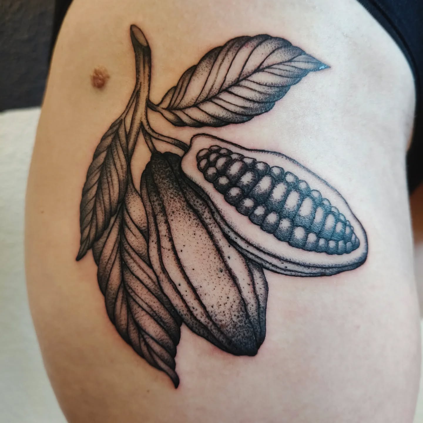 Cacao 🤎
#dotworktattoo
#kakaotattoo #finelinetattoo #planttattoo #naturetattoo
#symbolictattoo
#spiritualtattoo
#tattoobern #tattoostudiobern