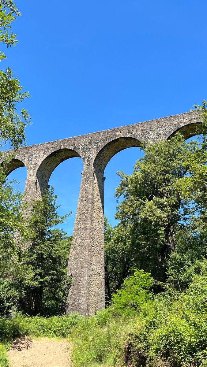 🚴♂️ weiter Horizont und dieses unvergleichliche Gefühl von Freiheit – genau darum geht’s bei unseren Gravelwochen im Domaine du Frigoulet.
Entdecke Südfrankreich abseits der grossen Strassen: abgelegene Feldwege durch Olivenhaine, urige Dörfer, duftende Garrigue und unzählige Panorama-Momente. Du musst dich um nichts kümmern – nur fahren, staunen, geniessen. 🌿
👉 Infos & Daten auf www.südfrankreich.ch