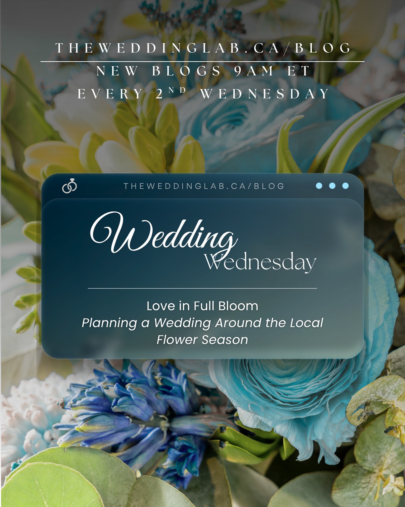 🌿 Wedding Wednesday 🌿Love in Full Bloom 💐
Planning your wedding around the local flower season isn’t just romantic—it’s sustainable, stunning, and smart.
In this week’s Lab Report, we dive into:
✨ Why seasonal blooms matter
🌼 Local flower options by season
🌸 How to save costs without sacrificing beauty
🌺 Tips for working with local florists
Whether you’re dreaming of spring lilacs or autumn dahlias, this blog is your guide to designing a floral story that’s meaningful and memorable.
Read the full post at theweddinglab.ca/blog, now available every 2nd Wednesday!
📩 Questions? Reach out: theweddinglabcanada@gmail.com | or through our DMs