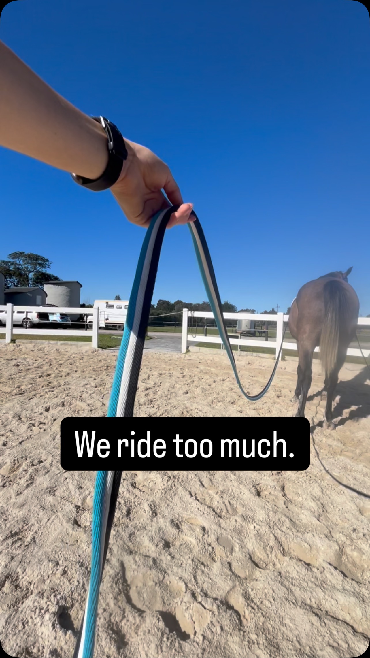 Are We Riding TOO Much? 🤔
You know I believe we often default to riding when there’s so much more to building a strong, healthy partnership. As a qualified saddle fitter constantly diving into equine biomechanics, behaviour, and anatomy, here’s what my research tells me:
🤖We often ride before they’re physically ready to carry us. Imagine being thrown into an hour of heavy weights at the gym BEFORE building any foundational strength. That’s what we’re often asking of our young or underdeveloped horses.
⚡️We don’t allow adequate muscle recovery. Think about how your body feels after a tough workout – sore, stiff, tired. Our horses feel that too! So riding multiple days in a row will hurt them and it will make them hate their work to. We need to make sure we give those muscles time to recover before we get on again.
🤓Many of us lack confidence and skills in groundwork. We’ve become so reliant on being in the saddle or lunging that we miss out on the incredible connection and training opportunities from the ground.
🐎We skip a proper pre-ride warm-up WITHOUT the rider. Just like athletes, our horses need to warm up their muscles BEFORE carrying our weight. 10 of brisk walking without the rider already makes a huge differ and is easy enough for everyone to do!
🚶♀️It is also ok to get off during rides. Especially as our horses start building strength, giving them some moments during a training session or hack without us on their backs to rest can be so wonderful for them!
#horsewelfare #horseriding #saddlefit #groundwork #horsemanship