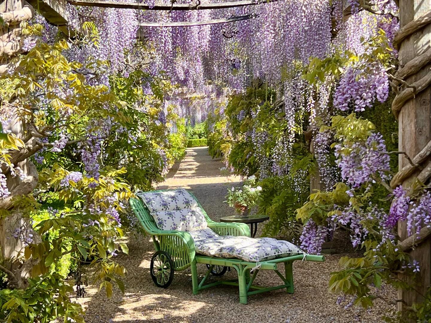 This is where I want to be today- on a Sassoon lounger by @thehoughtoncollection, under the wisteria in the @houghton_walled_garden 💜💜💜