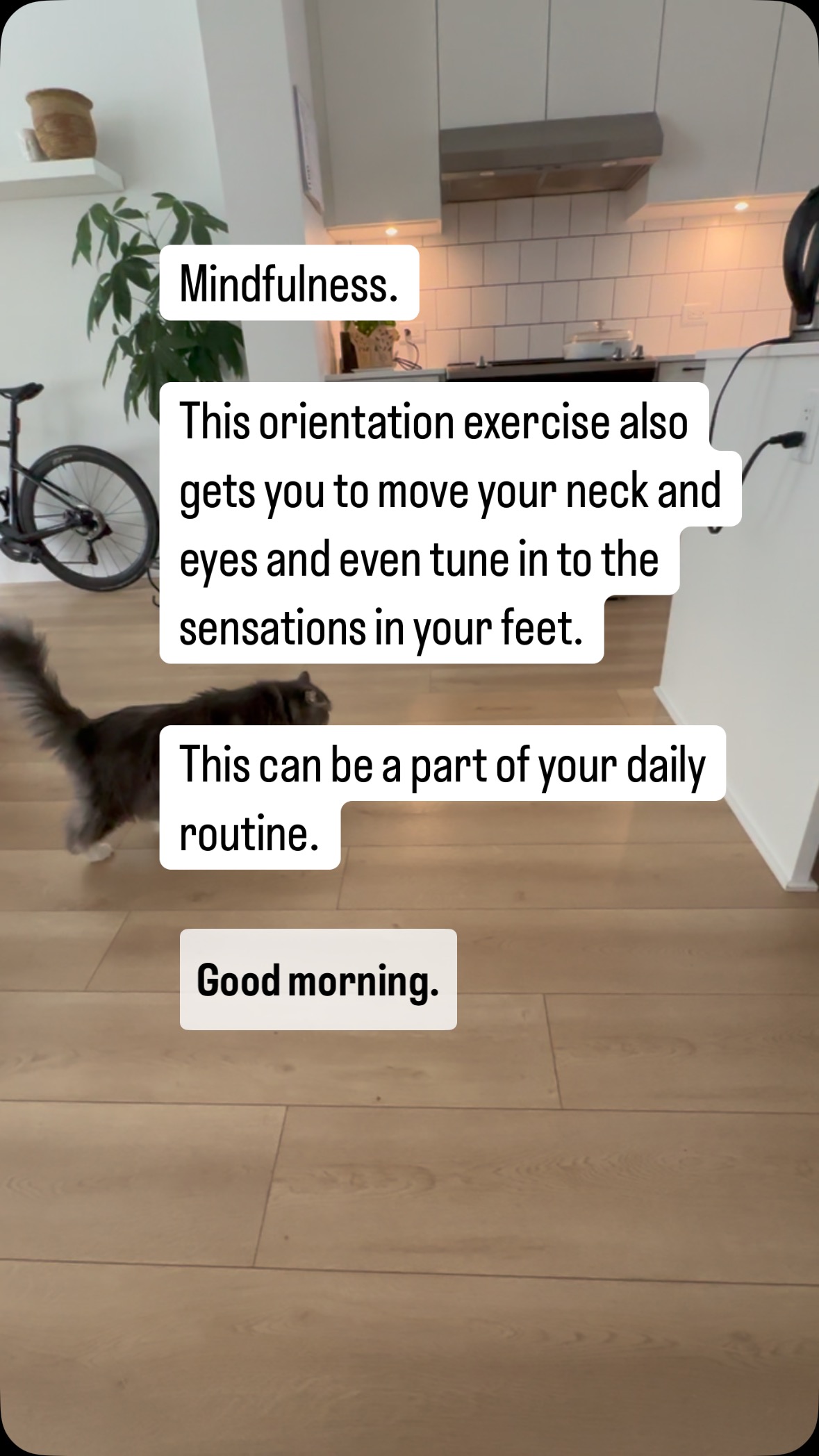 Good morning.
Stopping on the last step of the stairs.
Grounding the feet. Breathing.
Intentionally moving the head and the eyes.
Looking around.
Taking in the observations, sensations, without judgement.
This exercise regulates the nervous system, turns on visual and sensory neurons, boosts the mind body connection and prepares us for the day.
#occupationaltherapy #vagusnerve #mindbodyspirit#sensoryintegration#postconcussionlife #empoweredrecovery #holisticrecovery #occupationaltherapy #pcs #persistentconcussionsymptoms #vestibular #dizziness #visualimpairment #nervoussystem#nervoussystemregulation#postconcussion #tbi
#concussionrecovery #concussion #brainenergy #concussioncoach #yoga #returntowork #livingwhilehealing #patienttoperson