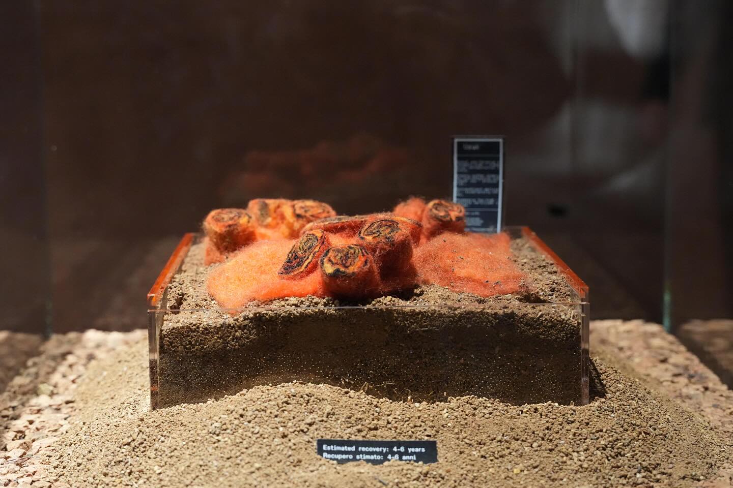 Covering Earth, Orkan Telhan, Yerebasan 2025
Covering Earth is a project that explores the healing of degraded soil through microbial inoculation embedded in felt-based bio-repair mats. These mats, made of organic fibers, host microbial cultures collected from various regions of Türkiye. The installation highlights soil’s ability to record the traces of human and environmental activity—mining, agriculture, urbanization—and focuses on restoring its vitality through intentional, slow, and ecologically attuned methods.
Rather than promising quick fixes through biotechnology, Covering Earth draws attention to the often invisible damage done to soil and stresses the need for care and responsibility. The mats regulate the release of microbial communities into the soil, enabling gradual decomposition and interaction with the environment. This process helps neutralize heavy metals and rebalance mineral content, supporting the soil’s natural recovery.
Throughout the development of this project, we met with Orkan Telhan every Wednesday to co-develop and refine the conceptual and material aspects of Covering Earth, ensuring that each component reflected a deep ecological sensitivity and commitment to restorative practices.
The orange-colored sample in the installation comes from my hometown, Uşak—an area where the soil is nearly dead, largely due to nearby gold mining operations.
Text in the posted pictures by Orkan Telhan🦠💚
@crnrdm @otelhan @turkiyepavilion.venice
Photos: @selcenkaratay
With Ilkay Civelek‘s scientific advice, ilkay.civelek
@labiennale