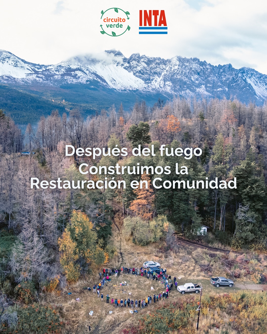 Es otoño y una vez más volvimos al bosque 🌳 El pasado sábado 26 de abril tuvimos una jornada de restauración, (mucho más que sólo reforestar!), en Cabeza del Indio, El Bolsón.
¿Por qué hablamos de Restauración? porque más allá de plantar nativas, hicimos remoción de exóticas, como la murra, que estaban invadiendo completamente el terreno, y porque también fuimos a monitorear cómo les iba a los plantines de la plantación del año pasado. Les contamos más ⬇
Esta vez fue diferente y nos encontramos con otros desafíos para un área que ya lleva un tiempo restaurándose de manera pasiva. Encontramos una gran cantidad de especies rebrotantes, también algunos poquitos ciprés de semilla pero lo que más vimos fueron a las especies exóticas invadiendo nuestros bosques. Por eso, pudimos llevar 1000 plantines de ciprés y coihues, especies no rebrotantes al bosque pero esta vez nos costó más, tuvimos que hacerles un lugar entre tanto matorral pinchudo de rosa mosqueta y murra y así, vivimos junto a 70 voluntarios una nueva experiencia.
Esta zona lleva las marcas del incendio de marzo de 2023 pero la reserva también se quemó este año y parece que nos vamos a tener que acostumbrar al fuego sobre fuego. Es por eso, que nuestras jornadas buscan impulsar la Restauración Ecológica Activa en COMUNIDAD atravesados por la educación ambiental y la posibilidad de poder estar en contacto con ese bosque quemado que tanto nos enseña.
También tomamos mediciones precisas en el terreno que servirán como línea de base para futuros monitoreos de la recuperación del sitio. Además, evaluamos el estado y éxito de las plantaciones que hicimos en años anteriores. Observar, registrar y analizar estos datos es crucial para entender qué funciona y planificar las próx. intervenciones. Sabemos que vamos a tener que seguir restaurando y queremos hacerlo cada vez mejor.
sigue en comentarios … 👇🏻