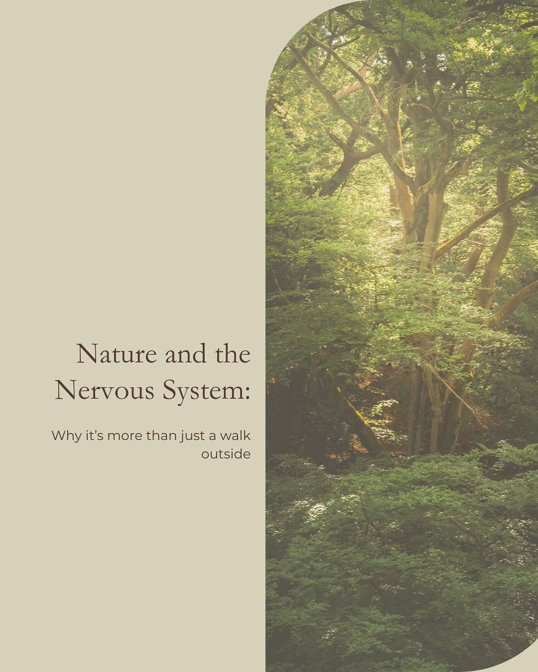 Most of us are running on empty.
Tired but wired. Distracted but overwhelmed.
Trying to regulate in environments that weren’t built for humans.
Nature changes that.
It doesn’t just calm your thoughts. It calms your whole system.
Your breath slows. Your shoulders drop. Focus returns.
You feel a little more like yourself.
You don’t need a retreat. You just need a few quiet minutes outside.
That’s enough to begin.
Nature is not a luxury. It is a biological need.
#NatureAndMentalHealth #NervousSystemRegulation #BurnoutRecovery #NeurodiversitySupport #MindBodyConnection