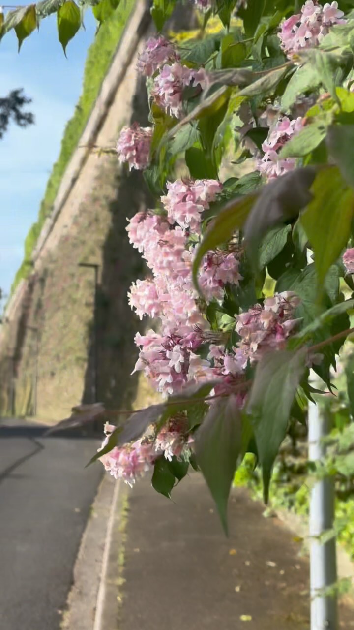 Walking to the workshop on a beautiful spring morning!
#frenchpainter #nadegemarneffeart #artistsoninstagram #emergingartist #springinparis #springmood #artistsinthestudio #artiststudio #artistlife #instamood #instadaily #instaspring #springinmeudon @villedemeudon