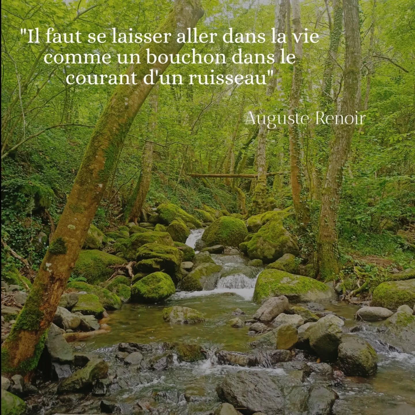 "Il faut se laisser aller dans la vie comme un bouchon dans le courant d’un ruisseau"
La citation d'Auguste Renoir, invite à adopter une attitude de lâcher-prise et de confiance.
Elle suggère qu’au lieu de lutter contre les événements ou vouloir tout contrôler, il est parfois plus sage de suivre le cours naturel de la vie, avec souplesse et légèreté, en s’adaptant au mouvement des choses.
#lacherprise #confiance #suivresoncoeur #suivresonchemin #augusterenoir