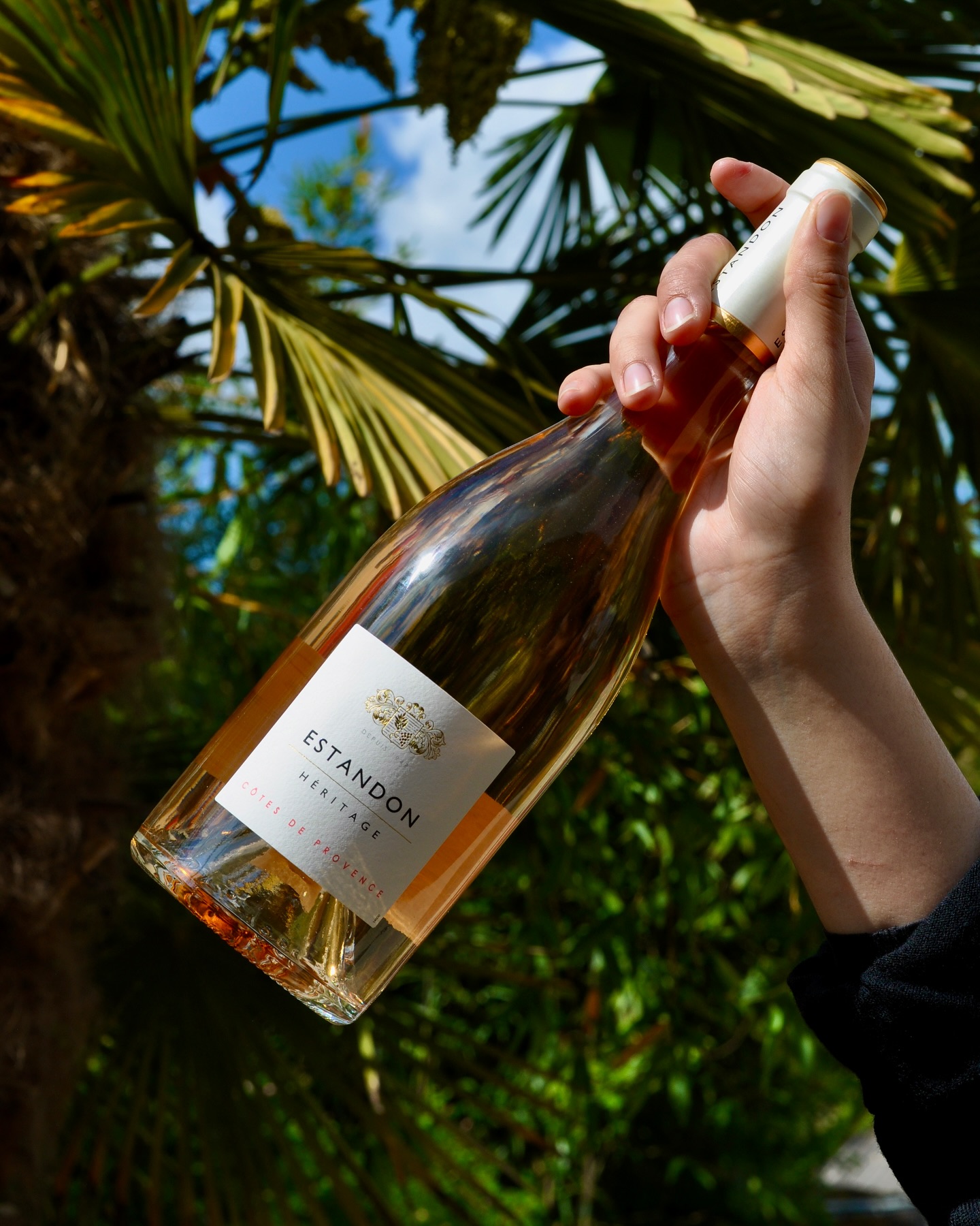 Ça + une table au jardin + du soleil 🍷🌞
On profite des beaux jours du printemps à Giverny avec @estandoncooperativeenprovence 🧊
#giverny #givernyfrance #givernymonet #eure #normandie #normandietourisme #frenchwine #lacapucinegiverny
L’alcool est dangereux pour la santé, à consommer avec modération 📣