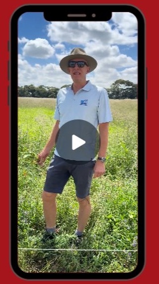 🌿Standing hay is basically grass or forage crops that are left growing in the field instead of being cut and baled for hay. Instead of harvesting and storing it, you leave it standing for livestock to graze after the rainy season, extending the period before you have to start supplementing! Think of it like "hay on the hoof."
Choose a mixture of plants that stay green for long with a deep rooting system. There are various different plants that you could try in your area.
For a successful grazing management use a good quality hot tape for strip grazing to benefit from green fodder realistically 60 days after the last rain! 🌨
#RedDaneAgriSolutions #RedDaneFarming #StandingHay #DrySeason #StripGrazing #SustainableFarming #Innovation #TipoftheMonth #WeAreLivestock