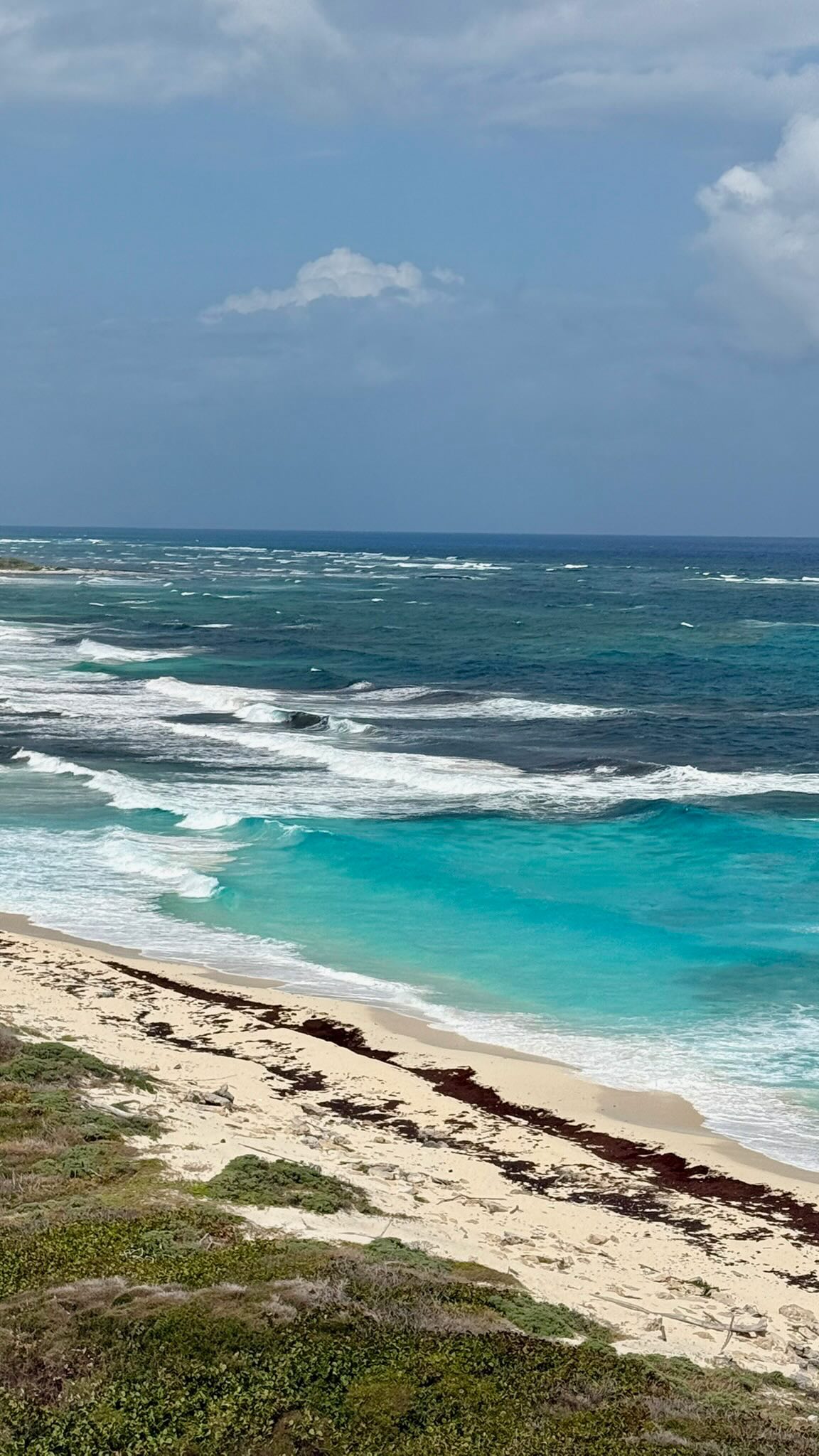 Marva Around the World 🗺️
From NYC to Mexico — Marva goes global! 🌎
Last month, Chef Itai wrapped an unforgettable Passover collaboration with Chef David Rosenblatt, bringing the flavors, magic, and balagan of Marva all the way to Mexico. 🇲🇽
Wherever your dream event is, we’ll make it happen. ✨
DM us to book your next event or Friday night dinner! 🌿#YallaMarVa
#MarvaEvents #ChefLife #FoodieTravel #NYCtoMexico #Passover2025 #GlobalFlavors #PrivateChef #EventCatering #JewishFood #ModernTradition #ShabbatVibes #FoodReel #TravelWithTaste #BalaganStyle #FoodCollab #CulinaryExperience #ReelFoodie #TrendingNow #AroundTheWorld #DinnerPartyGoals