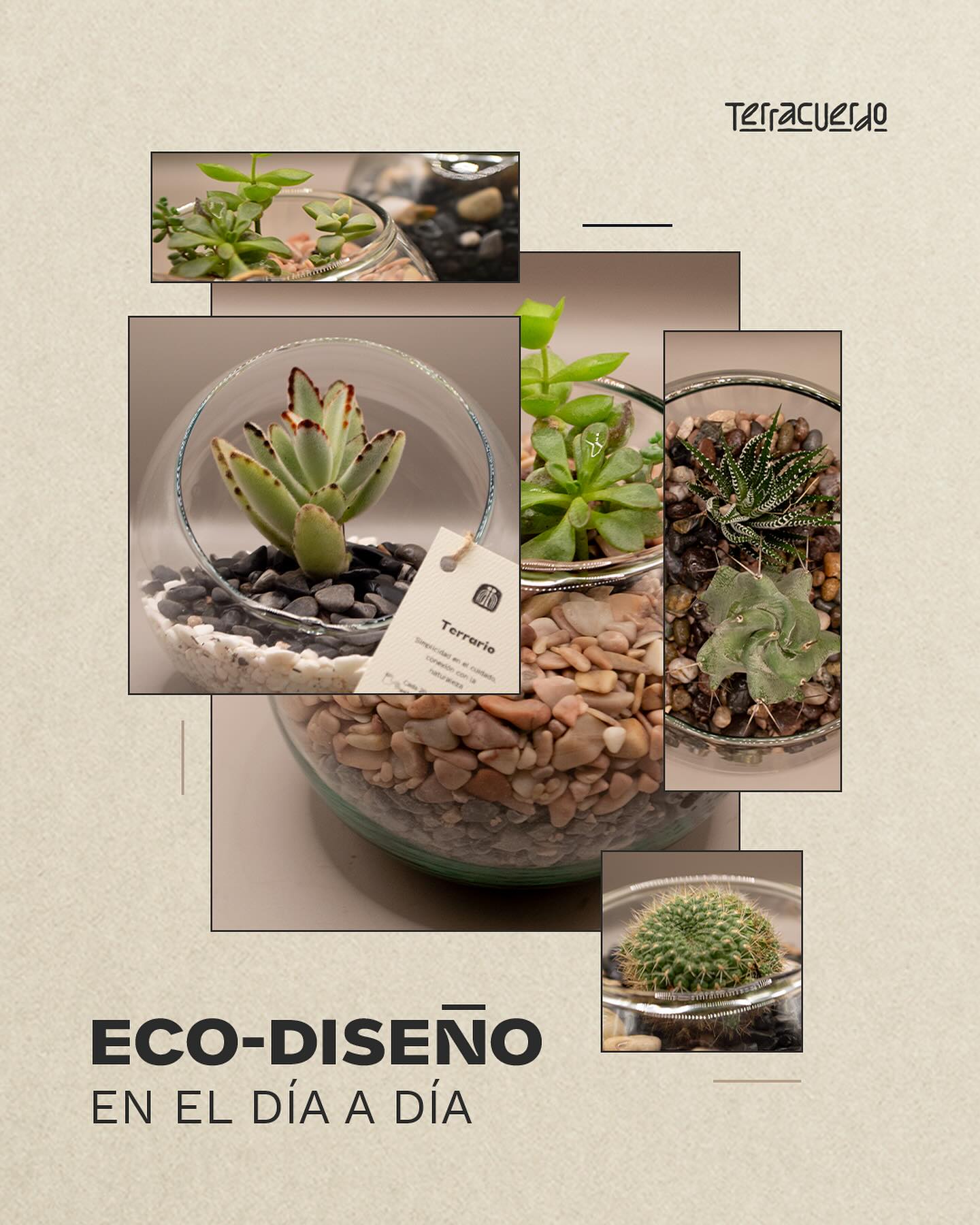 El eco-diseño no es solo una tendencia, es una forma de vivir en armonía con la Tierra.🌎
Desde los materiales que elegimos hasta cómo reutilizamos lo que ya tenemos, cada decisión cuenta.💕
Descubre en este carrusel cómo puedes integrar el eco-diseño en tu día a día, con acciones simples pero poderosas.
Porque sí, lo estético también pude ser ético.✨
-
#Terracuerdo #EocDiseño #DiseñoSustentable #SostentabilidadCreativa #VidaConsciente #DiseñoResponsable
#AmorALaTierra #DiseñarParaElPlaneta #CicloDeVida #MenosEsMás #ConsumoConsciente #ReusarEsRevolucionar
Terrac